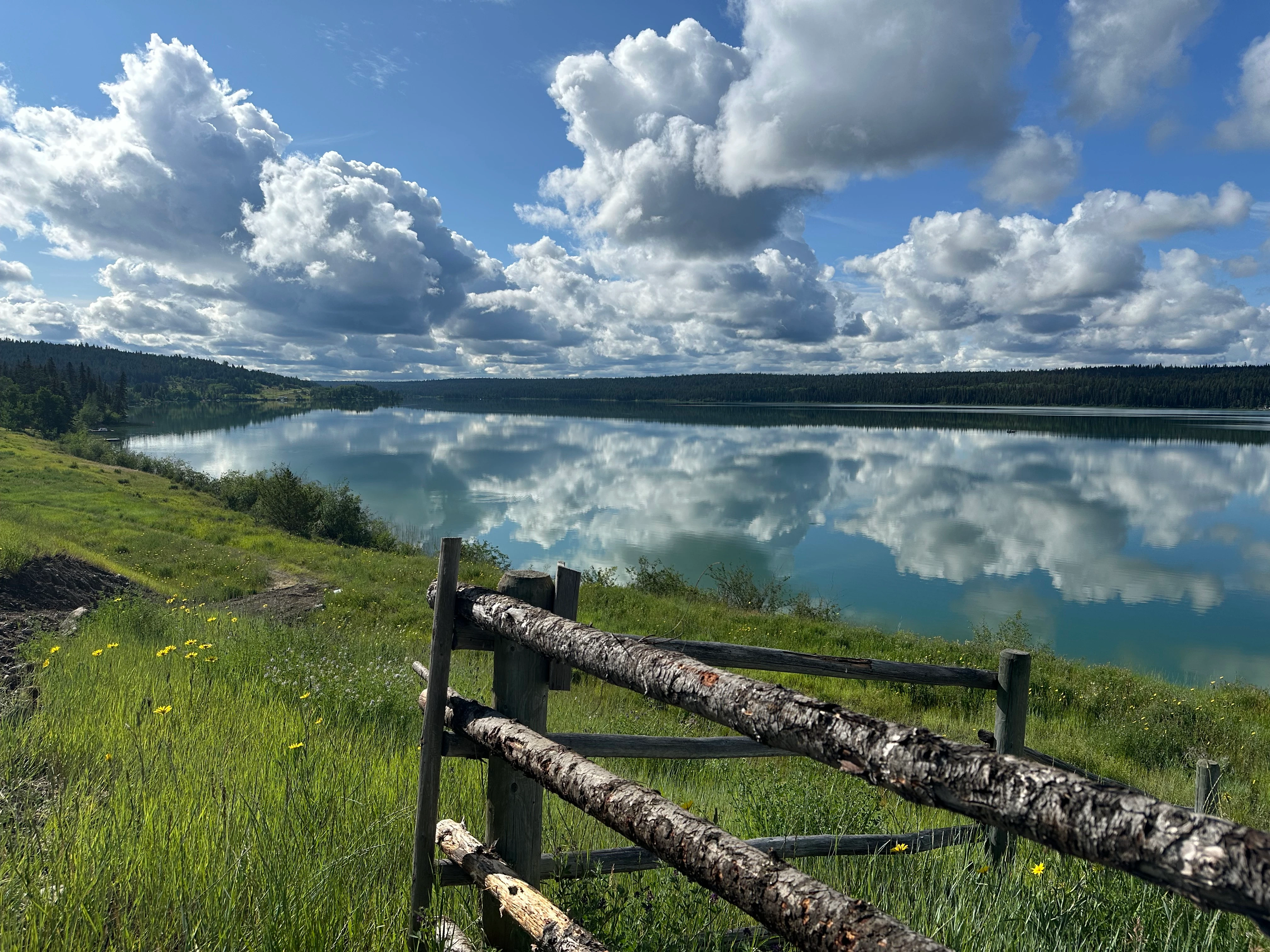 Photo: Recreation Sites and Trails BC. © Province of British Columbia, licensed under the Open Government Licence – British Columbia. Chimney Lake North, photo 4