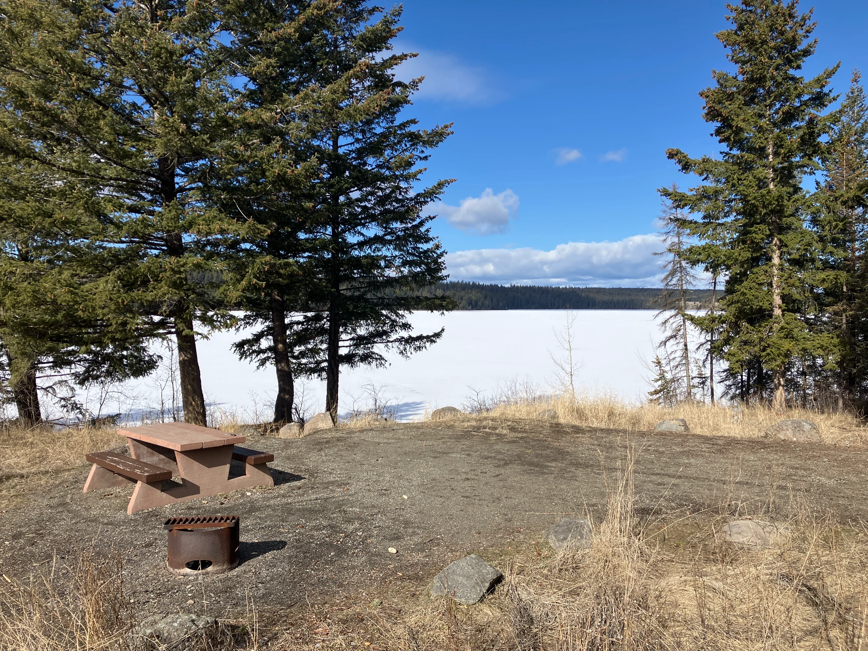 Photo: Recreation Sites and Trails BC. © Province of British Columbia, licensed under the Open Government Licence – British Columbia. Felker Lake, photo 4