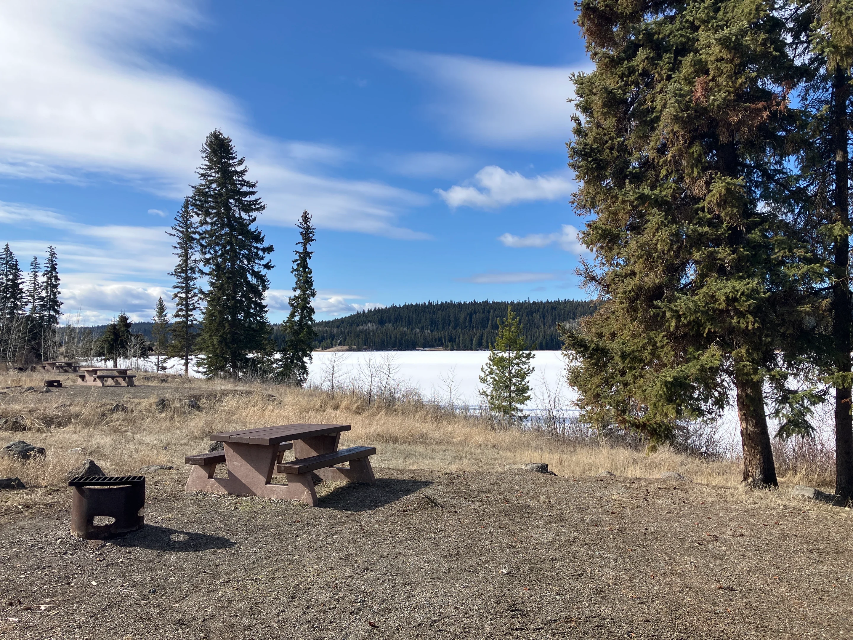 Photo: Recreation Sites and Trails BC. © Province of British Columbia, licensed under the Open Government Licence – British Columbia. Felker Lake, photo 2