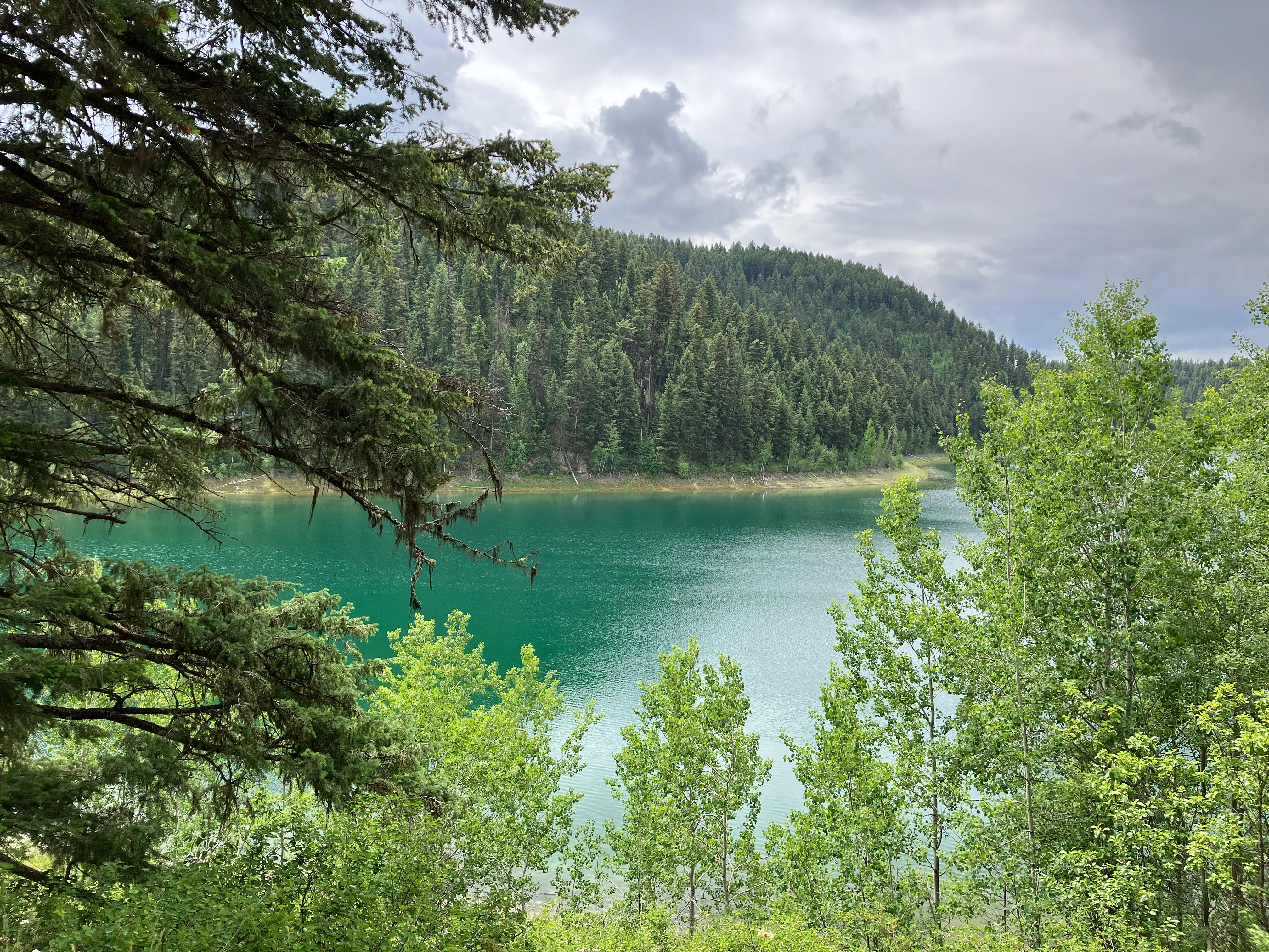 Photo: Recreation Sites and Trails BC. © Province of British Columbia, licensed under the Open Government Licence – British Columbia. Blue Lake North, photo 3