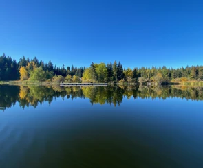 Photo: Recreation Sites and Trails BC. © Province of British Columbia, licensed under the Open Government Licence – British Columbia. Dugan Lake, photo 15