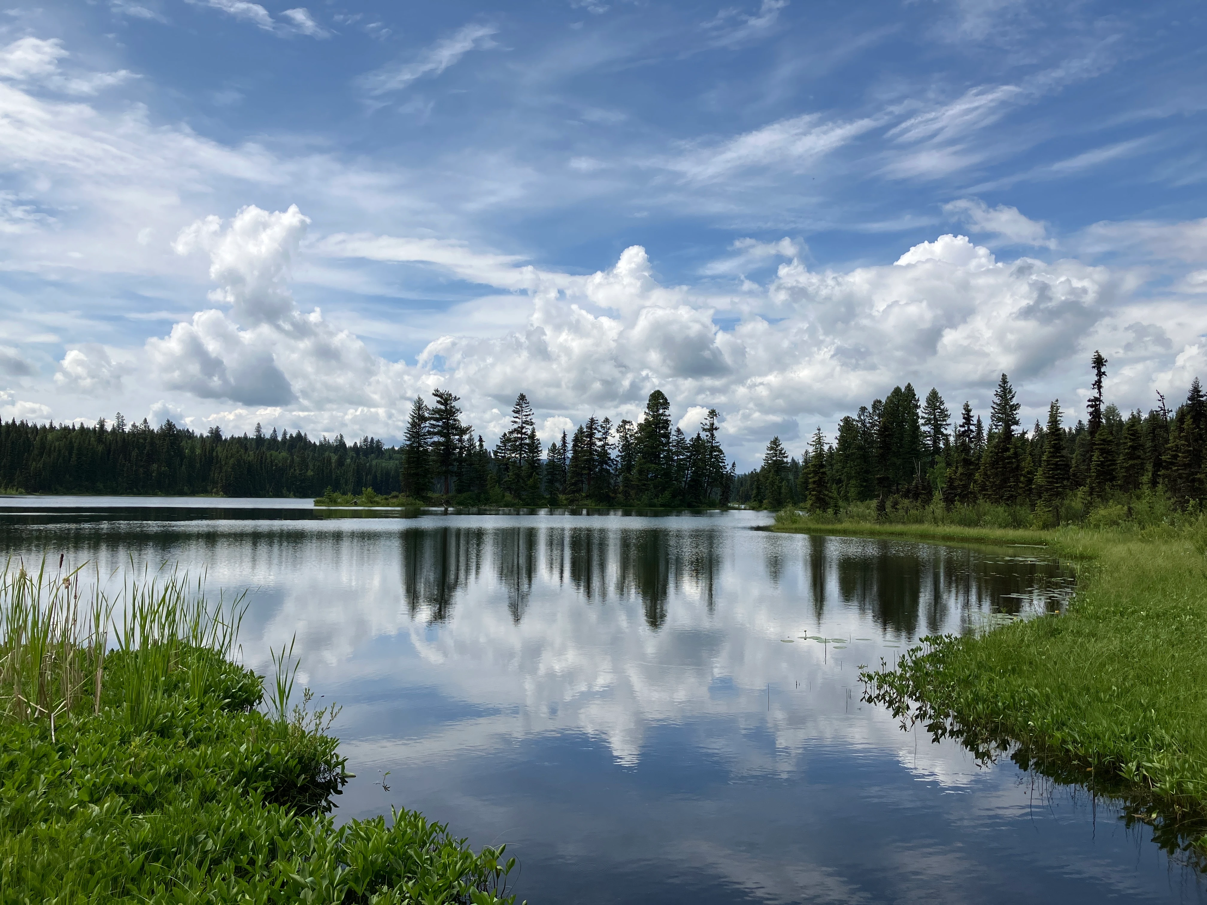 Photo: Recreation Sites and Trails BC. © Province of British Columbia, licensed under the Open Government Licence – British Columbia. Elk (Island) Lake, photo 2