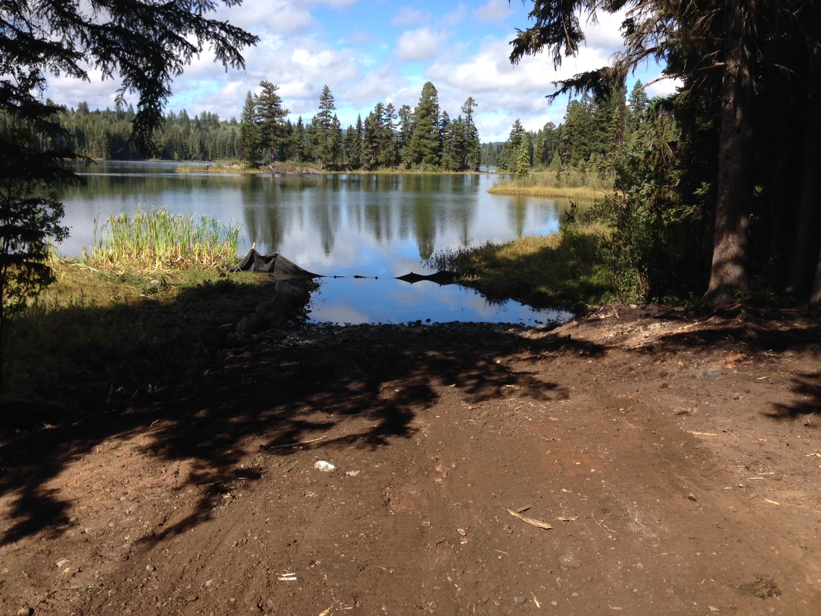 Photo: Recreation Sites and Trails BC. © Province of British Columbia, licensed under the Open Government Licence – British Columbia. Elk (Island) Lake, photo 7
