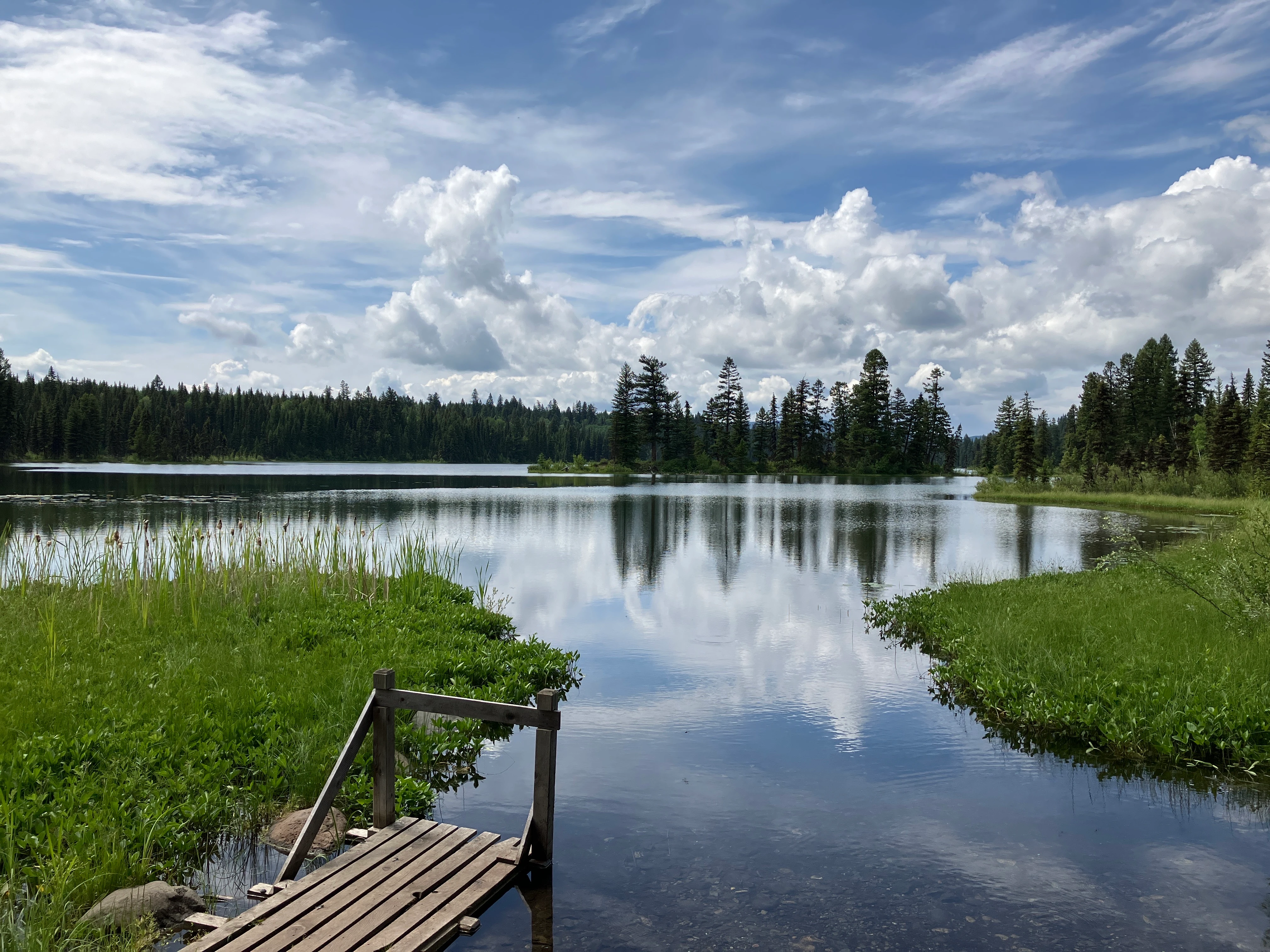 Photo: Recreation Sites and Trails BC. © Province of British Columbia, licensed under the Open Government Licence – British Columbia. Elk (Island) Lake, photo 5
