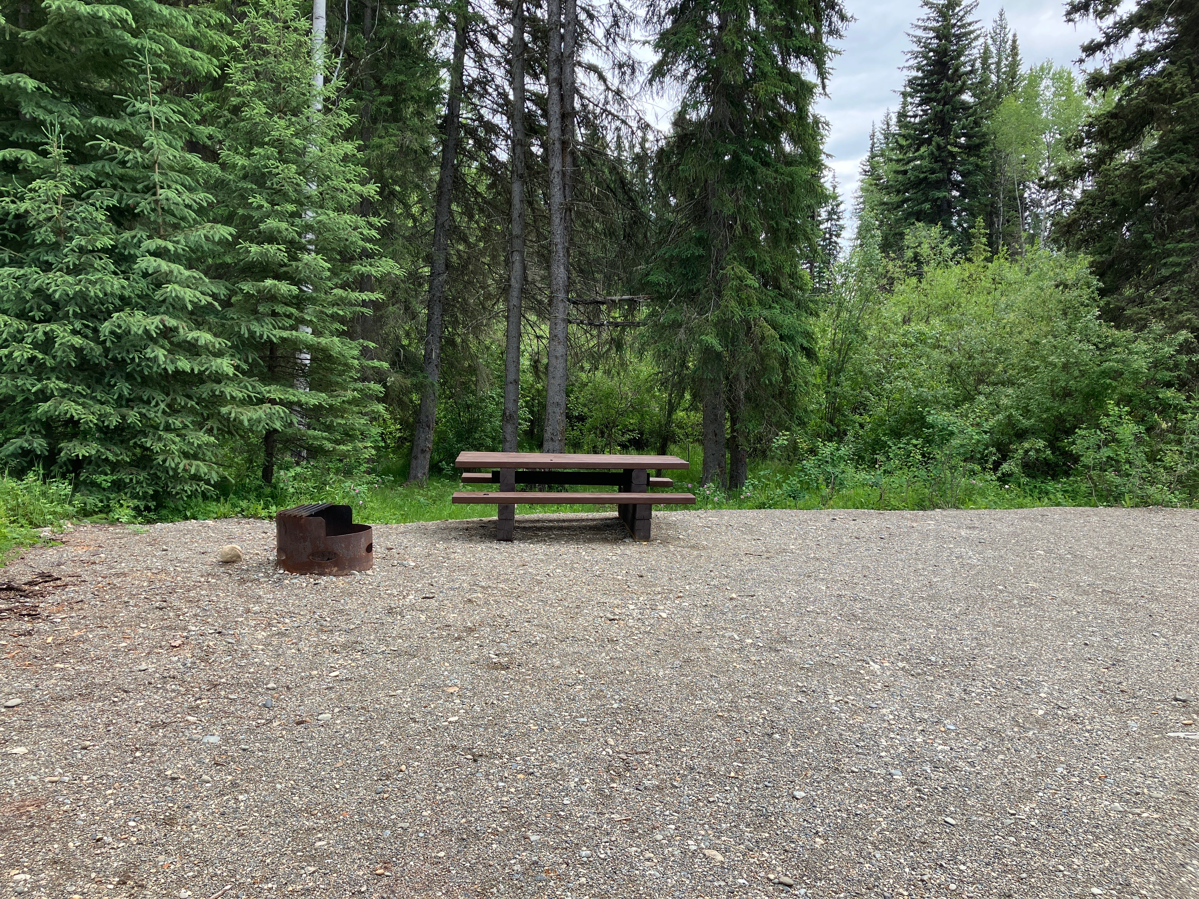 Photo: Recreation Sites and Trails BC. © Province of British Columbia, licensed under the Open Government Licence – British Columbia. Elk (Island) Lake, photo 6