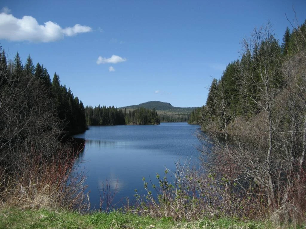 Photo: Recreation Sites and Trails BC. © Province of British Columbia, licensed under the Open Government Licence – British Columbia. Keno Lake