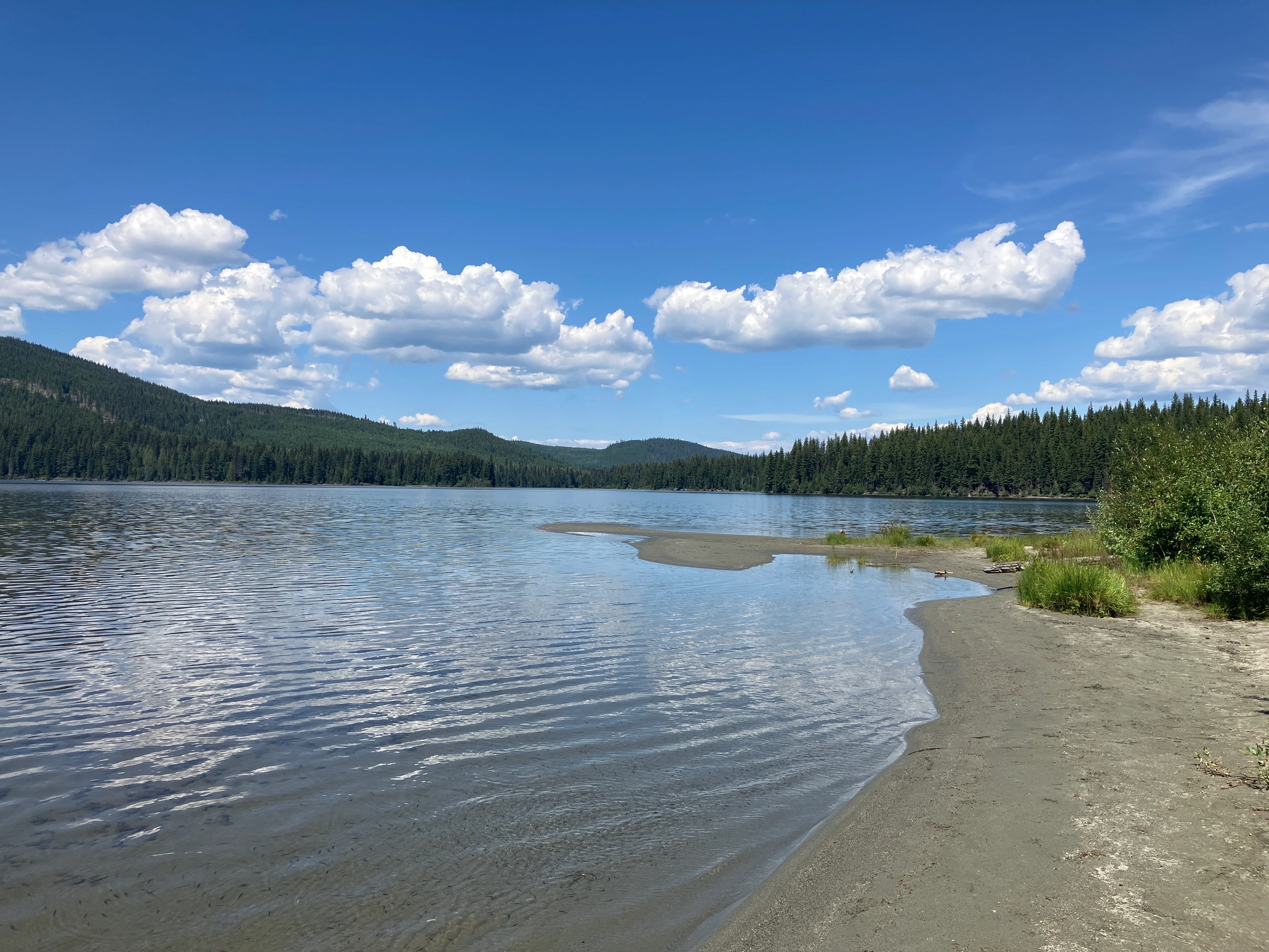 Photo: Recreation Sites and Trails BC. © Province of British Columbia, licensed under the Open Government Licence – British Columbia. Bosk Lake North, photo 7