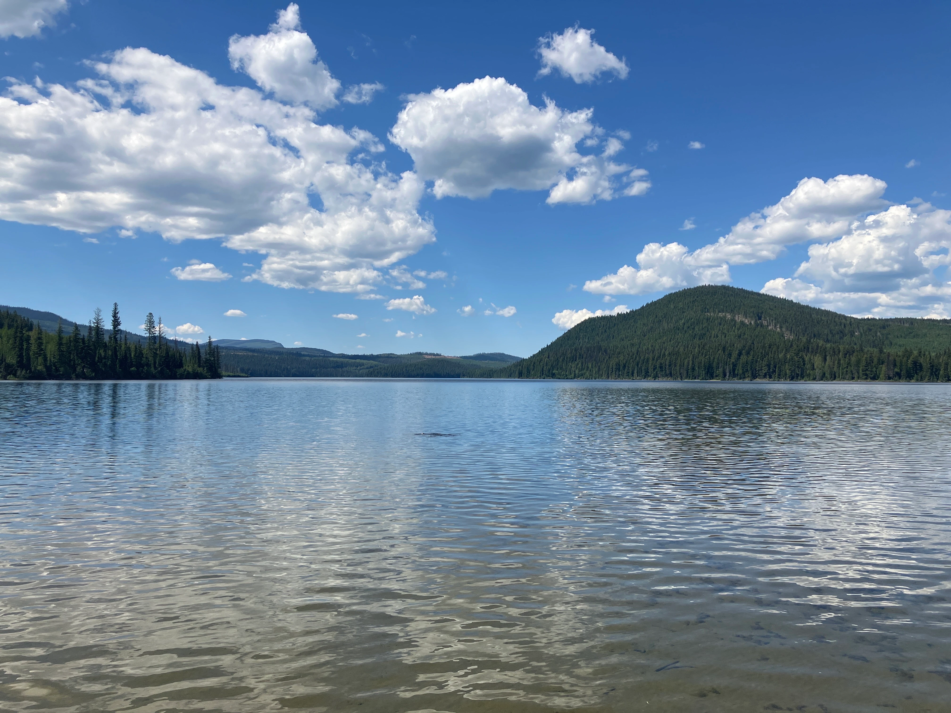 Photo: Recreation Sites and Trails BC. © Province of British Columbia, licensed under the Open Government Licence – British Columbia. Bosk Lake North, photo 6