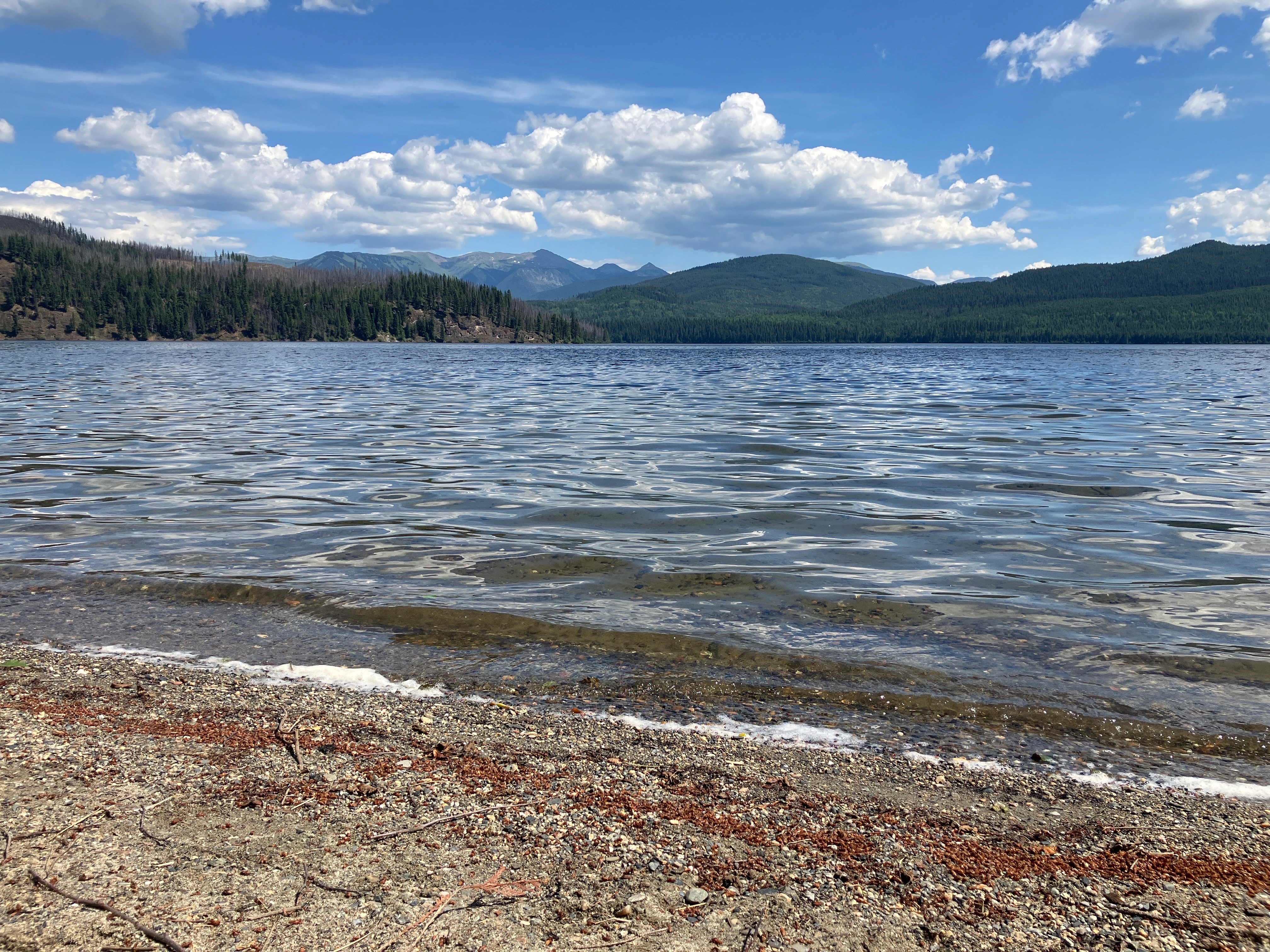 Photo: Recreation Sites and Trails BC. © Province of British Columbia, licensed under the Open Government Licence – British Columbia. Elbow Lake, photo 1