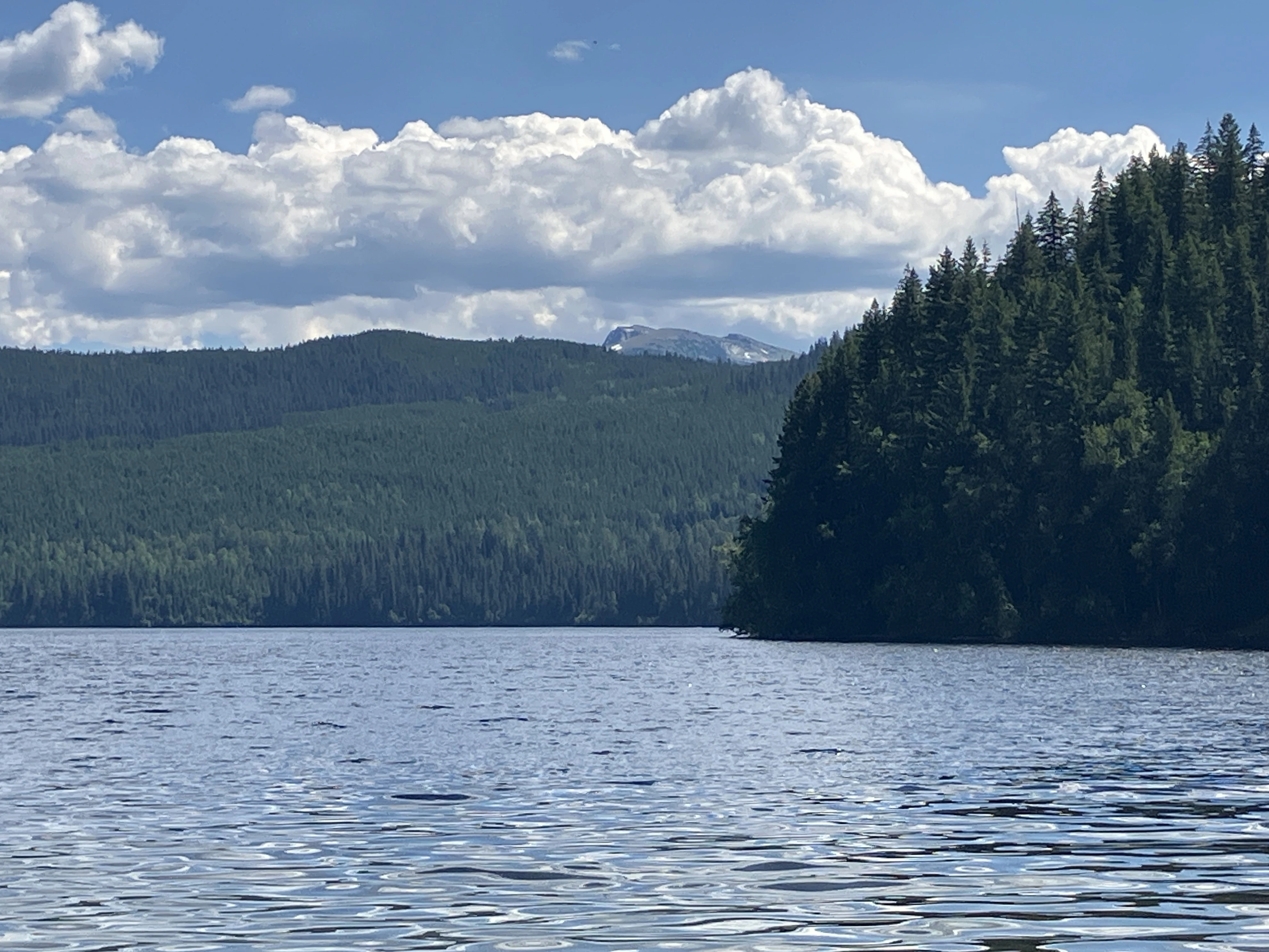 Photo: Recreation Sites and Trails BC. © Province of British Columbia, licensed under the Open Government Licence – British Columbia. Elbow Lake, photo 10