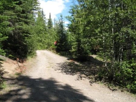 Photo: Recreation Sites and Trails BC. © Province of British Columbia, licensed under the Open Government Licence – British Columbia. Klinne Lake, photo 3