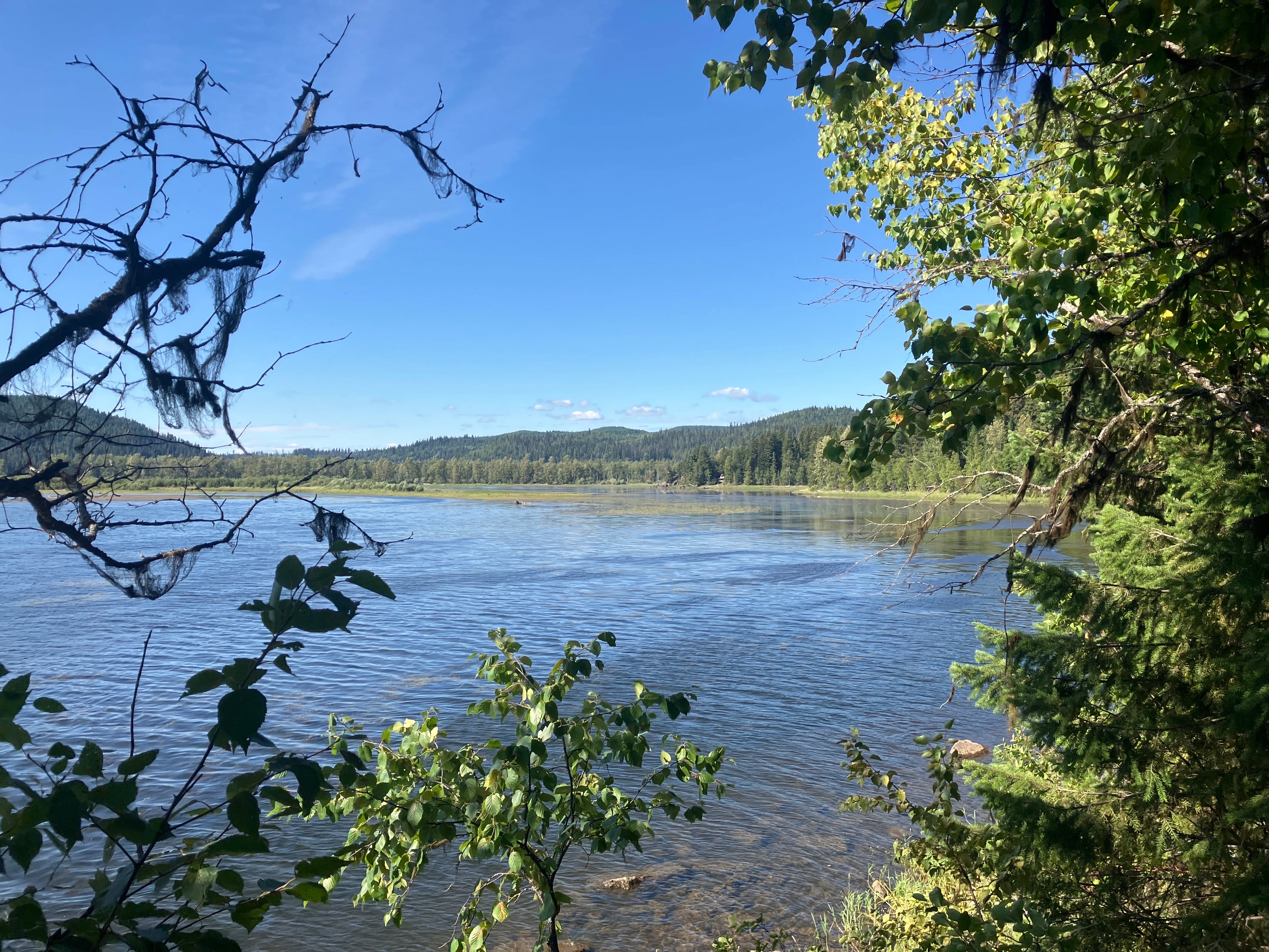 Photo: Recreation Sites and Trails BC. © Province of British Columbia, licensed under the Open Government Licence – British Columbia. Horsefly Bay, photo 4