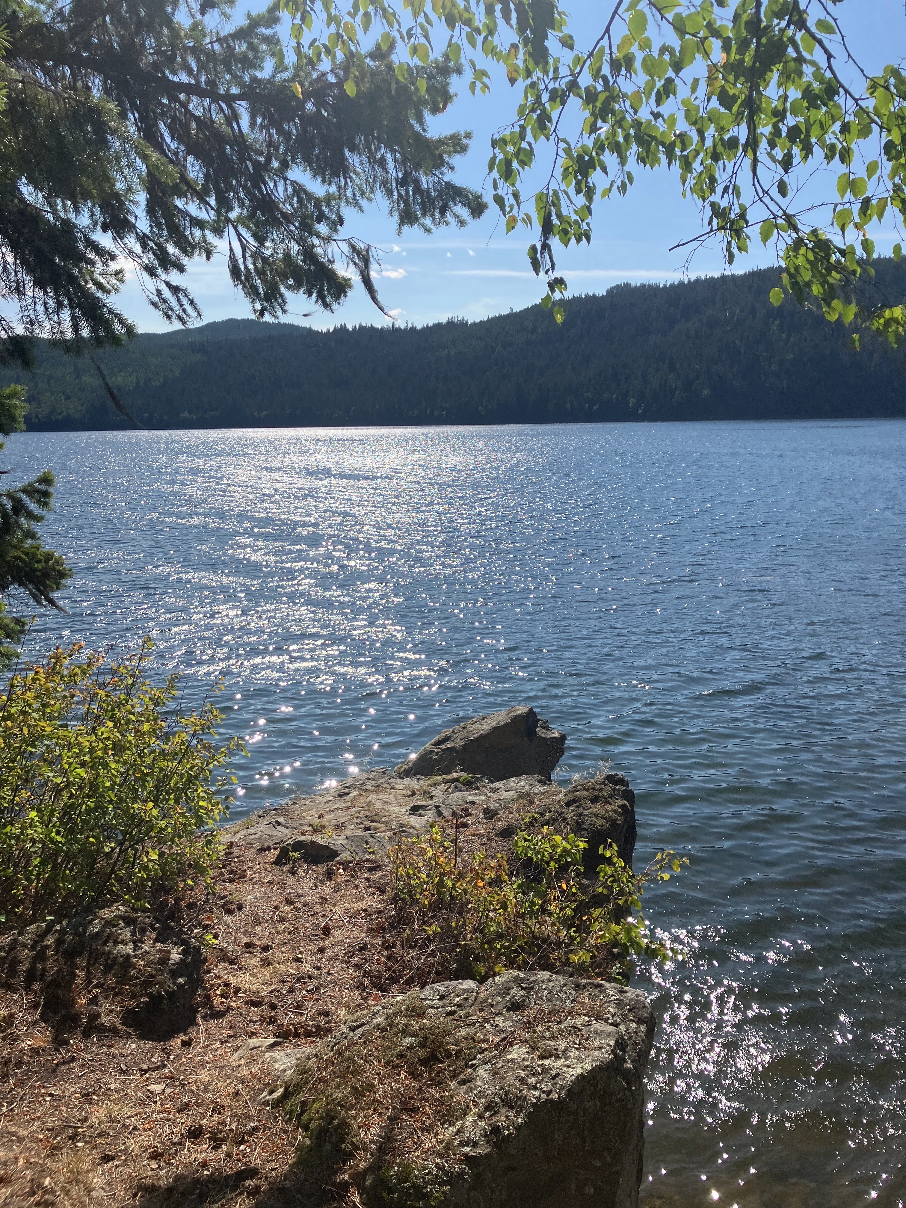 Photo: Recreation Sites and Trails BC. © Province of British Columbia, licensed under the Open Government Licence – British Columbia. Horsefly Bay, photo 3