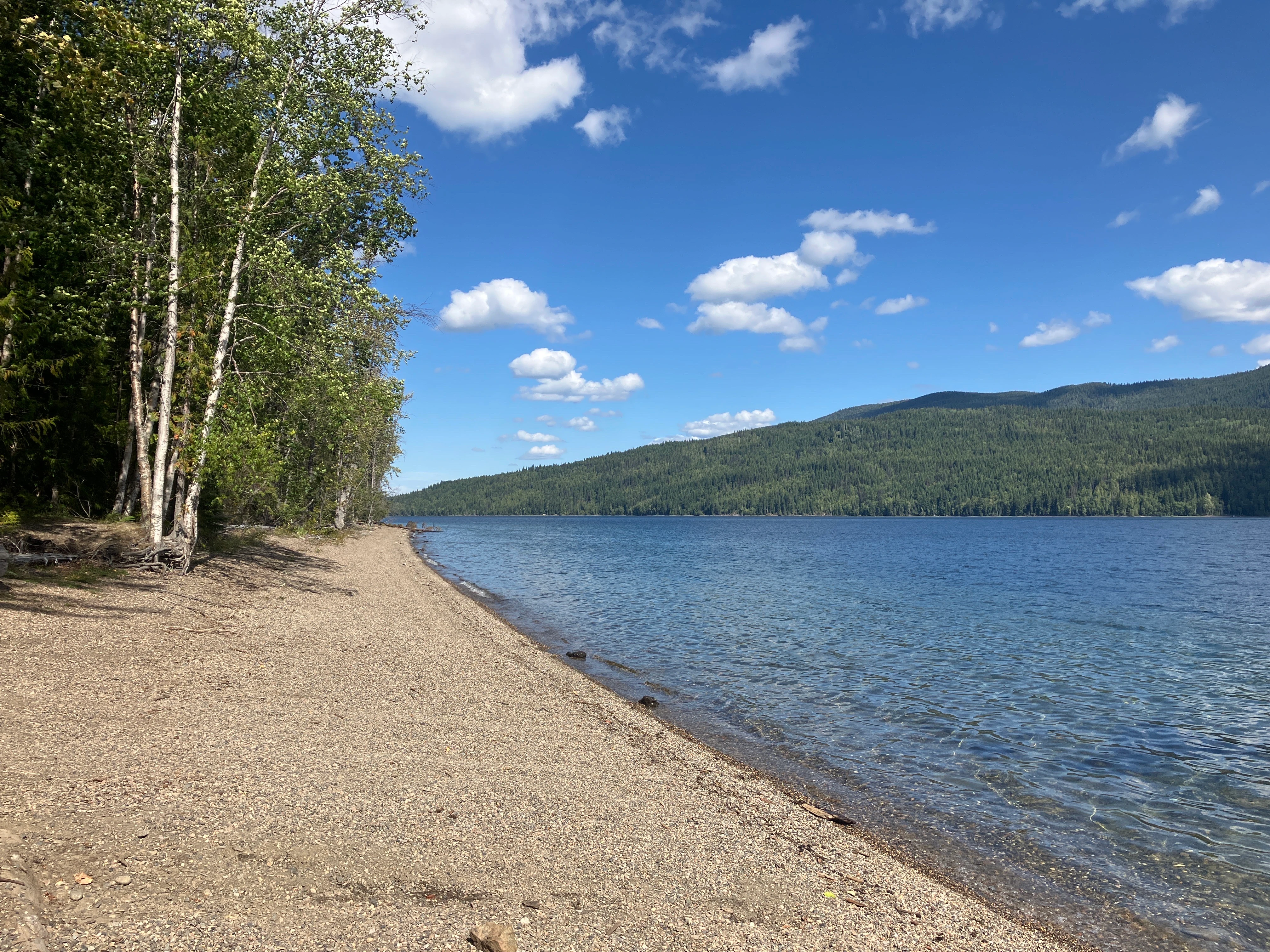 Photo: Recreation Sites and Trails BC. © Province of British Columbia, licensed under the Open Government Licence – British Columbia. Mitchell Bay, photo 11