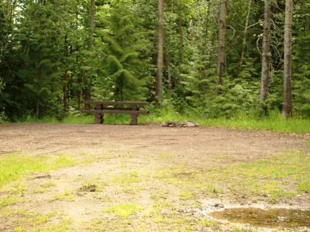 Photo: Recreation Sites and Trails BC. © Province of British Columbia, licensed under the Open Government Licence – British Columbia. Mitchell Bay, photo 13