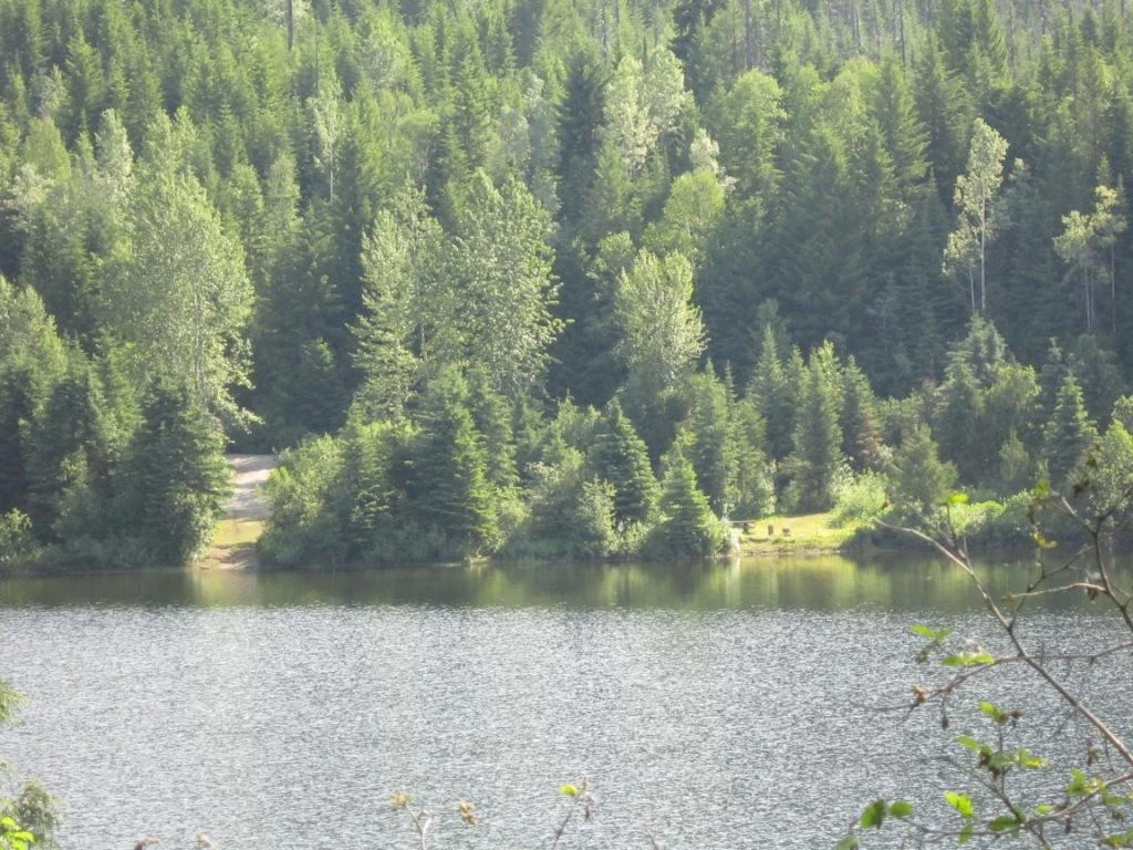 Photo: Recreation Sites and Trails BC. © Province of British Columbia, licensed under the Open Government Licence – British Columbia. Crooked Lake North, photo 3