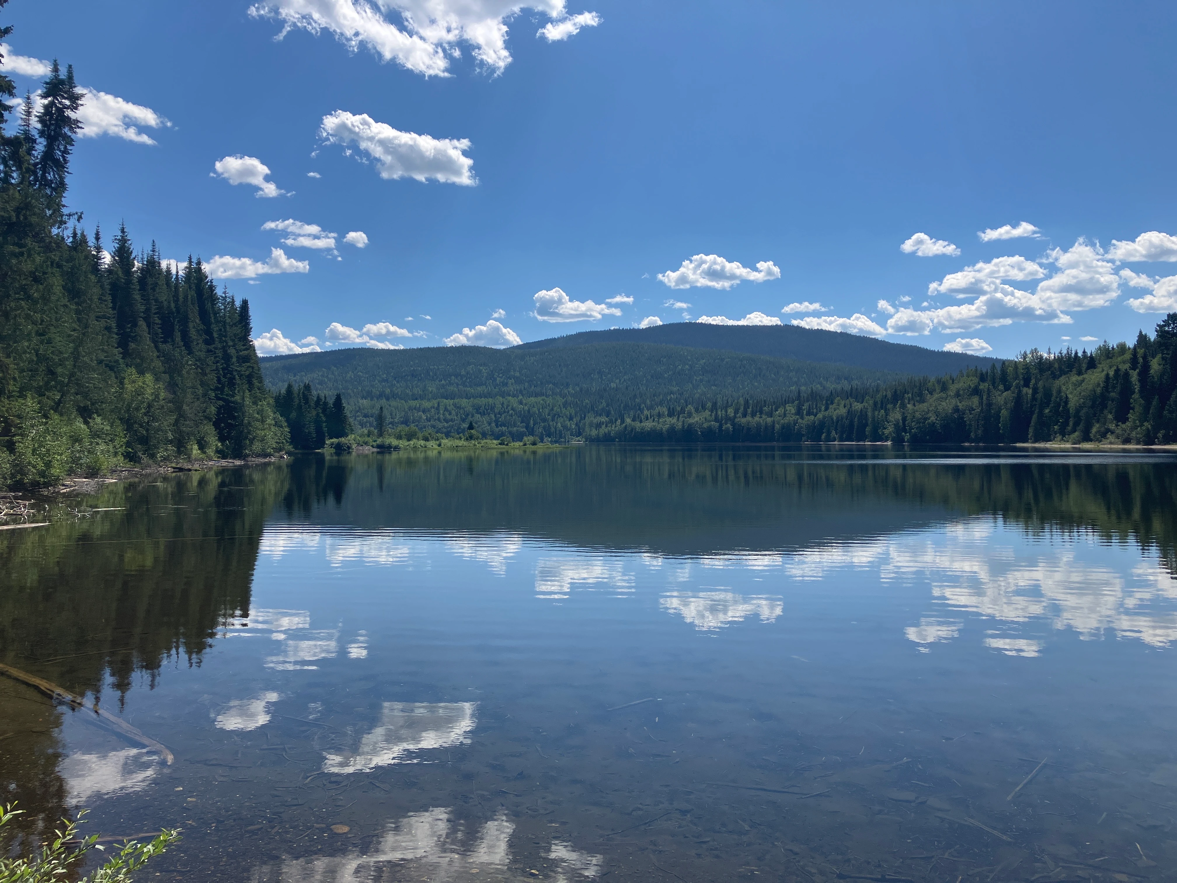 Photo: Recreation Sites and Trails BC. © Province of British Columbia, licensed under the Open Government Licence – British Columbia. Crooked Lake North, photo 7