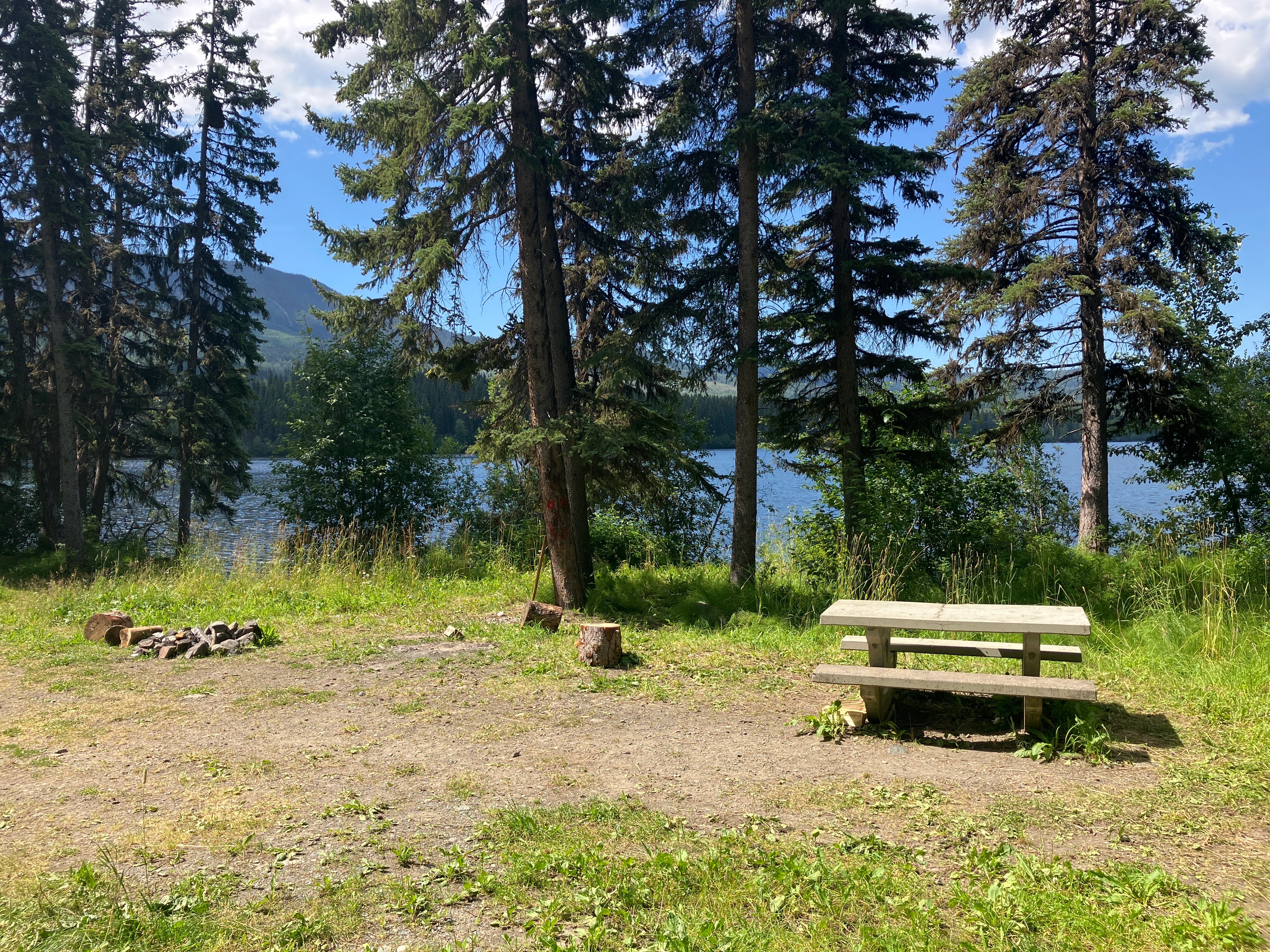 Photo: Recreation Sites and Trails BC. © Province of British Columbia, licensed under the Open Government Licence – British Columbia. Tisdall Lake, photo 2