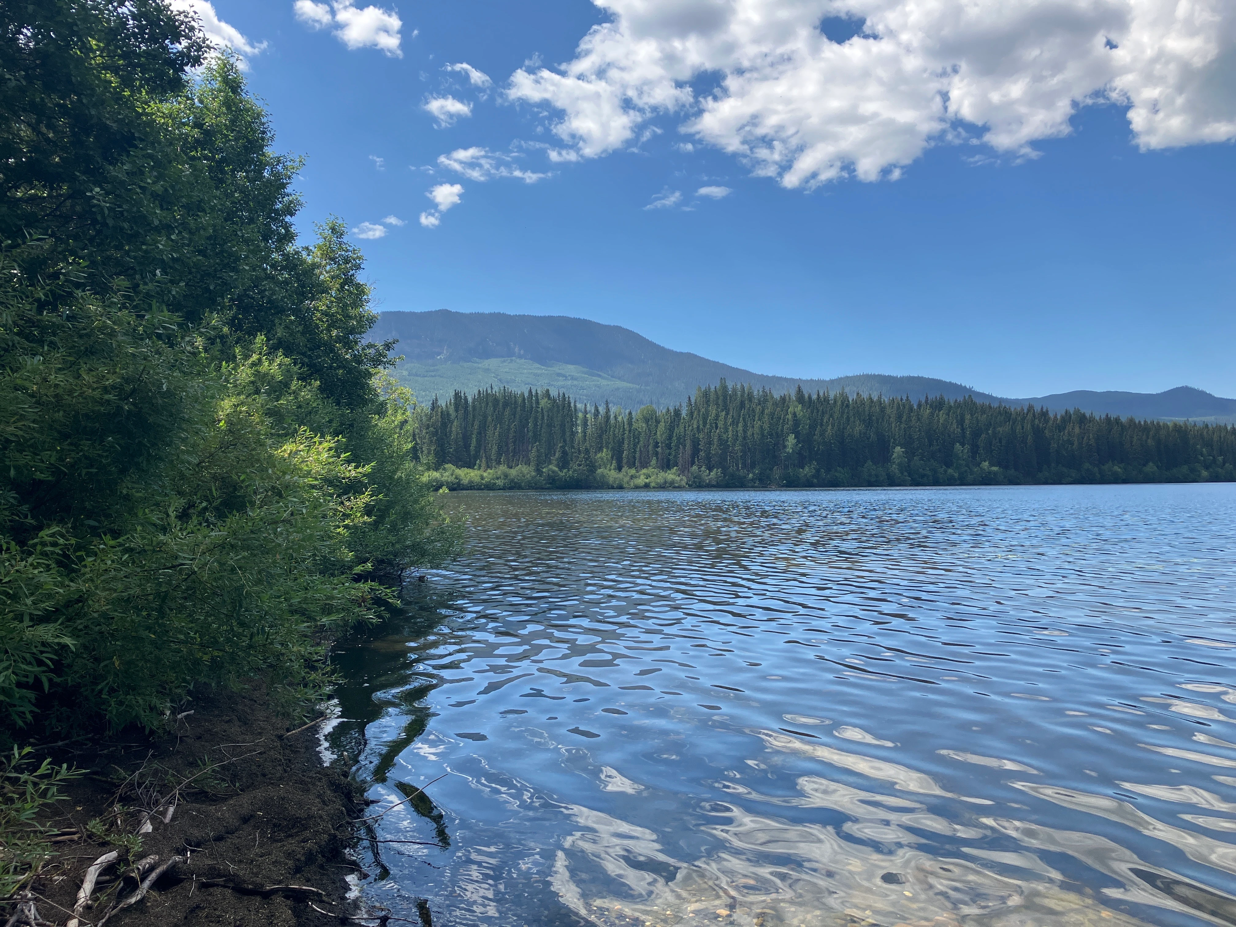 Photo: Recreation Sites and Trails BC. © Province of British Columbia, licensed under the Open Government Licence – British Columbia. Tisdall Lake, photo 9