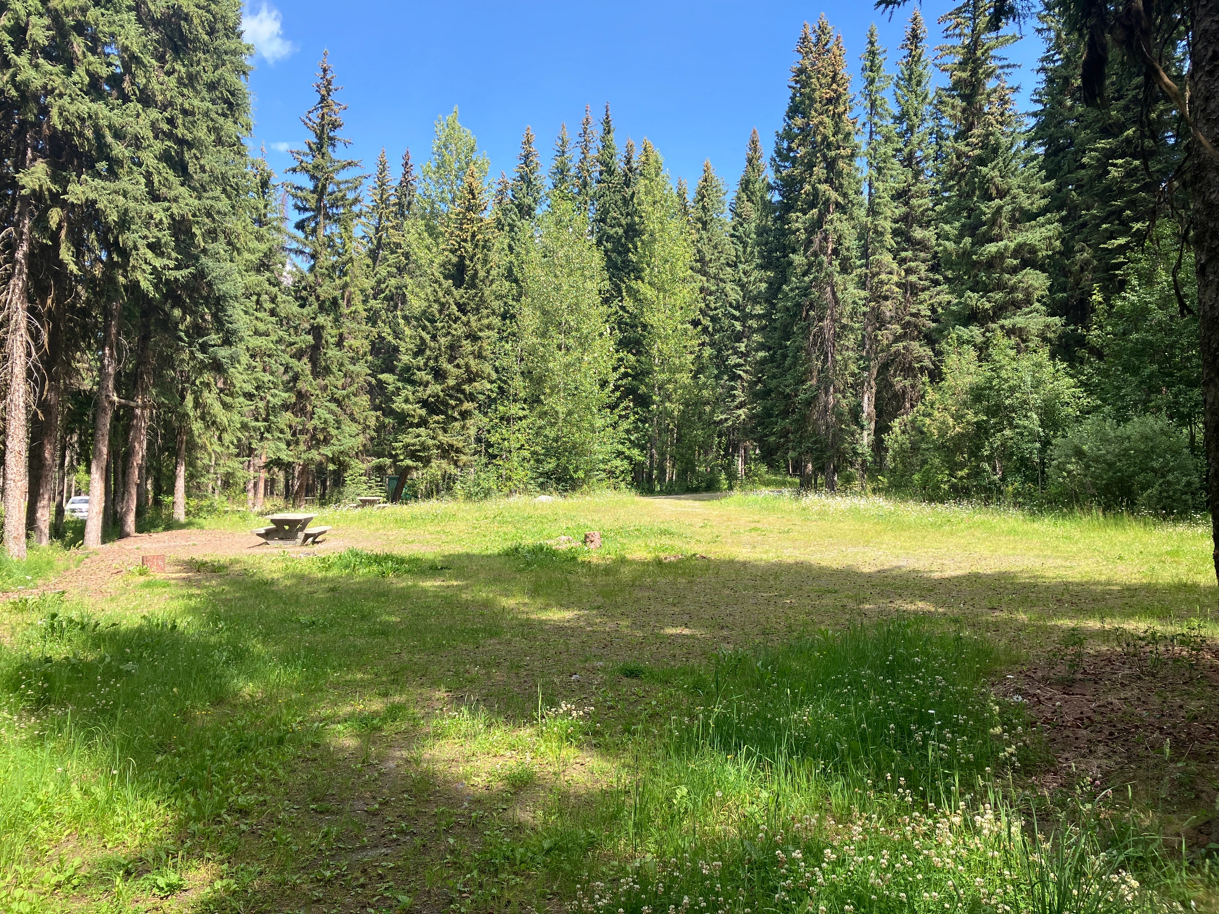 Photo: Recreation Sites and Trails BC. © Province of British Columbia, licensed under the Open Government Licence – British Columbia. Tisdall Lake, photo 7