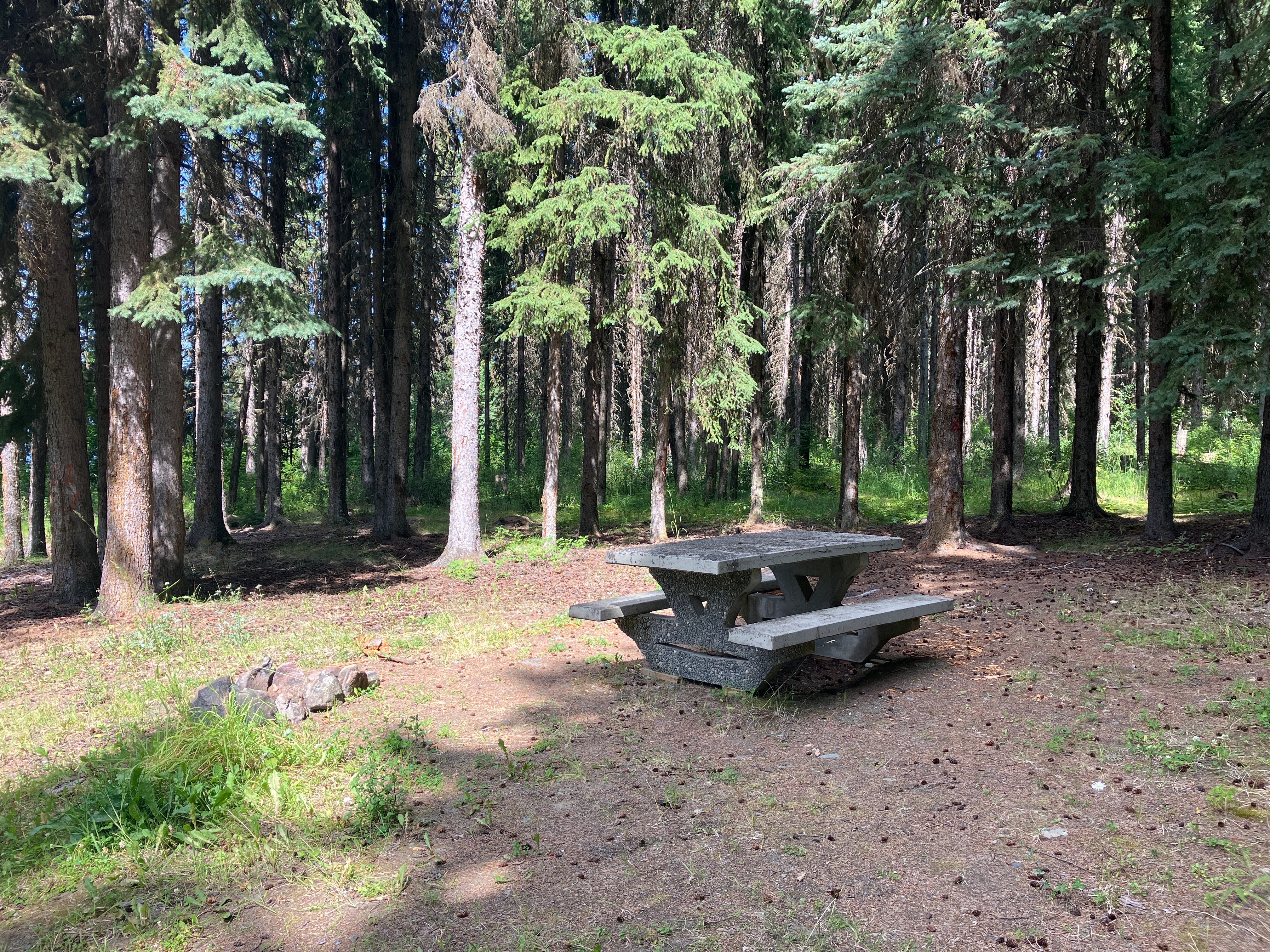 Photo: Recreation Sites and Trails BC. © Province of British Columbia, licensed under the Open Government Licence – British Columbia. Tisdall Lake, photo 3