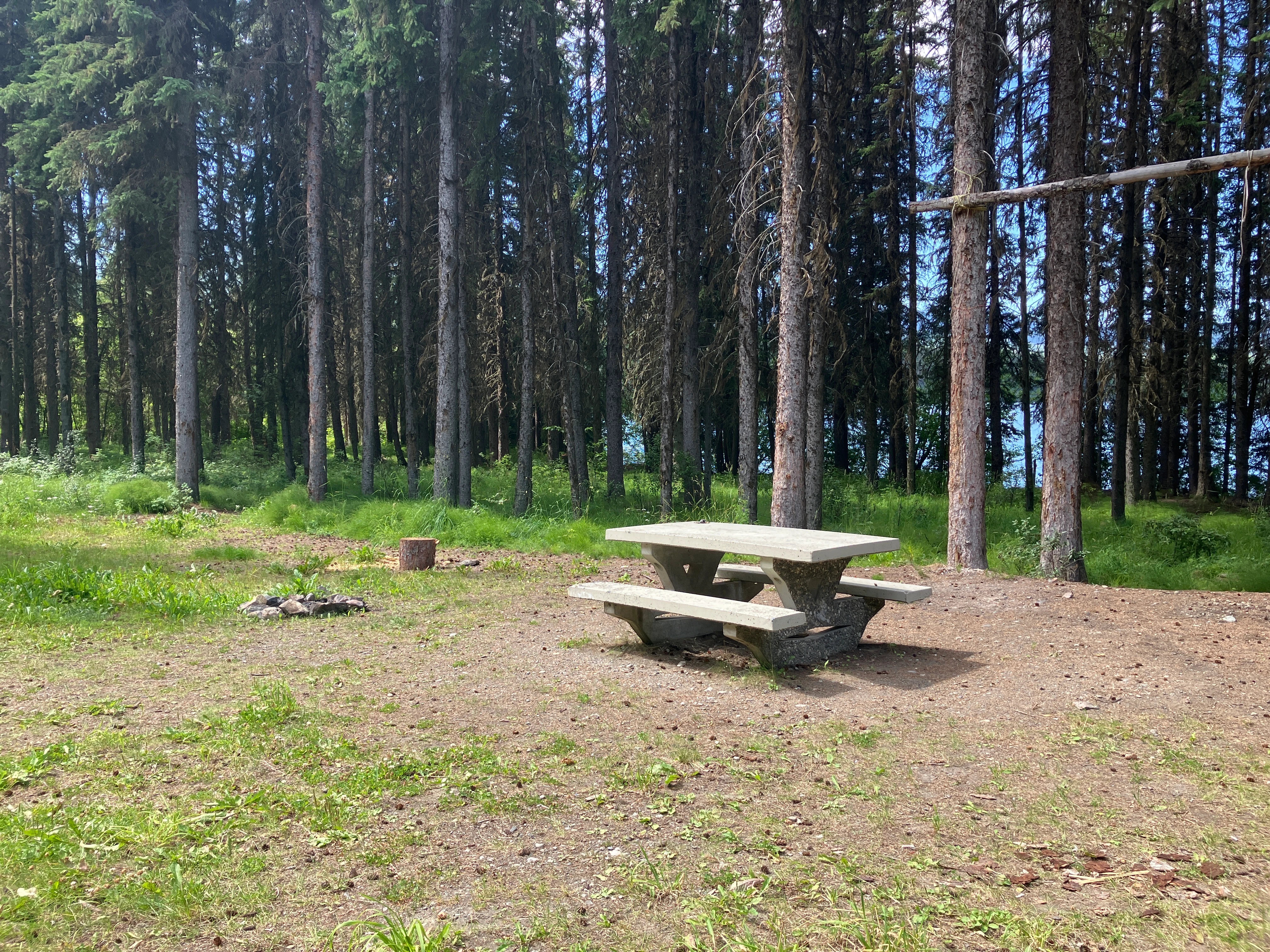 Photo: Recreation Sites and Trails BC. © Province of British Columbia, licensed under the Open Government Licence – British Columbia. Tisdall Lake, photo 6