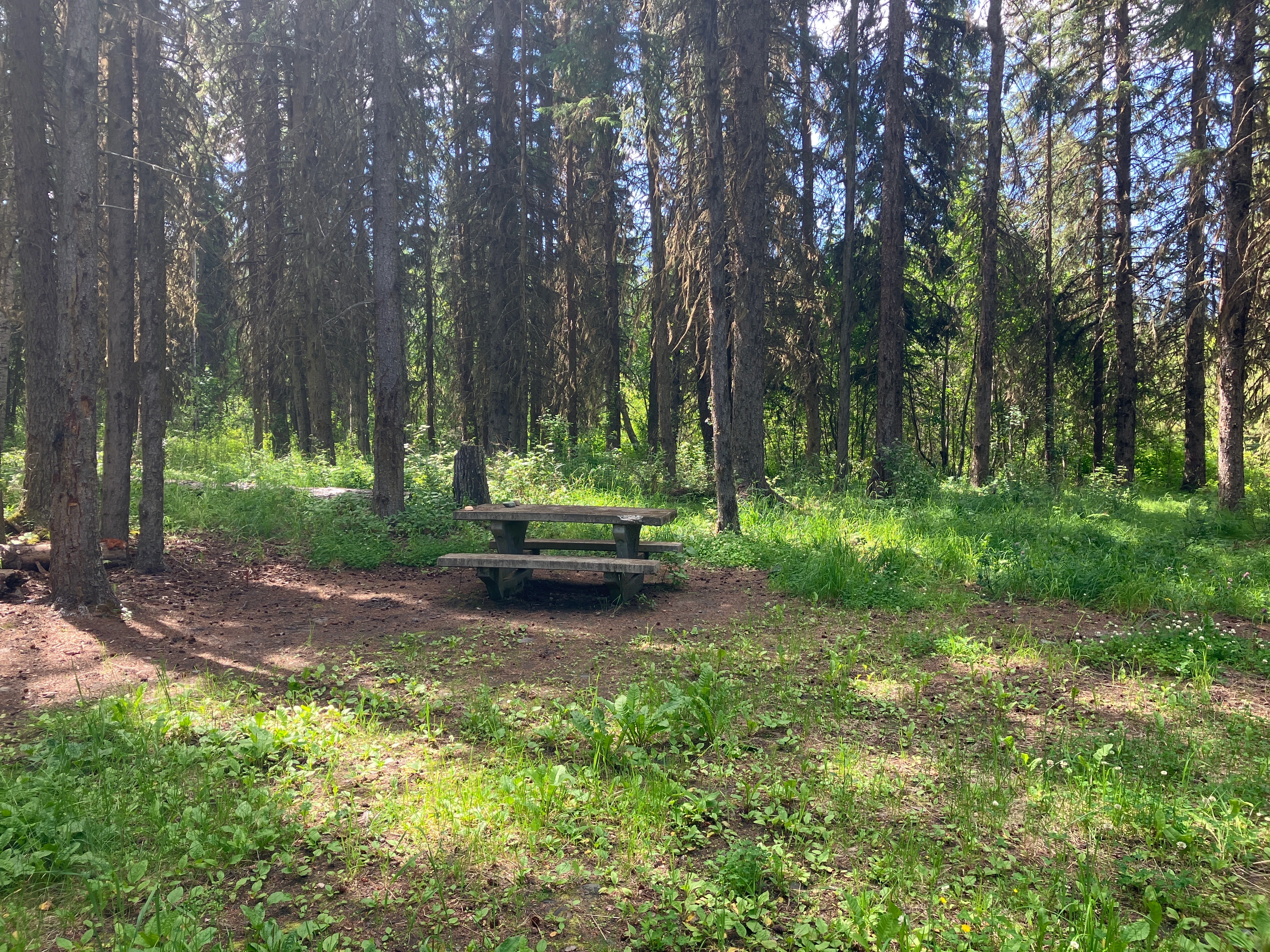 Photo: Recreation Sites and Trails BC. © Province of British Columbia, licensed under the Open Government Licence – British Columbia. Tisdall Lake, photo 8