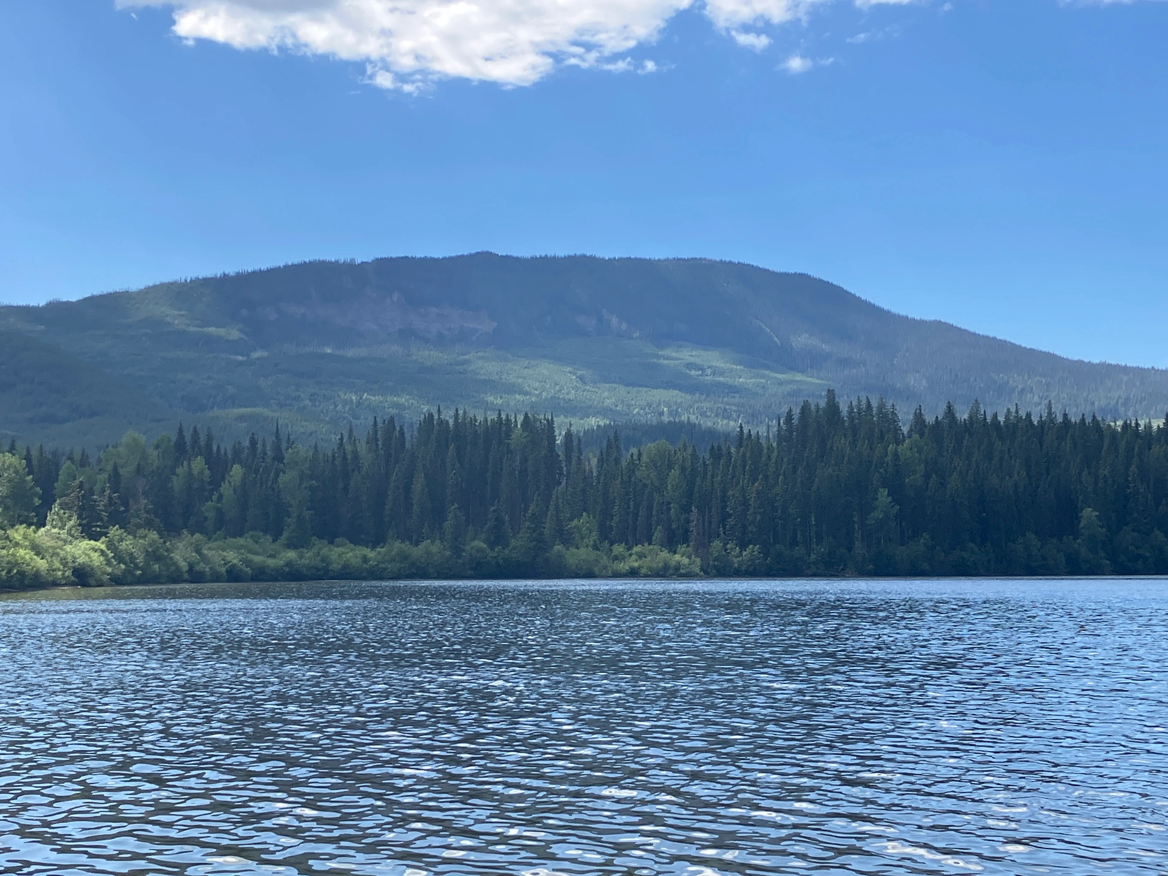 Photo: Recreation Sites and Trails BC. © Province of British Columbia, licensed under the Open Government Licence – British Columbia. Tisdall Lake, photo 1