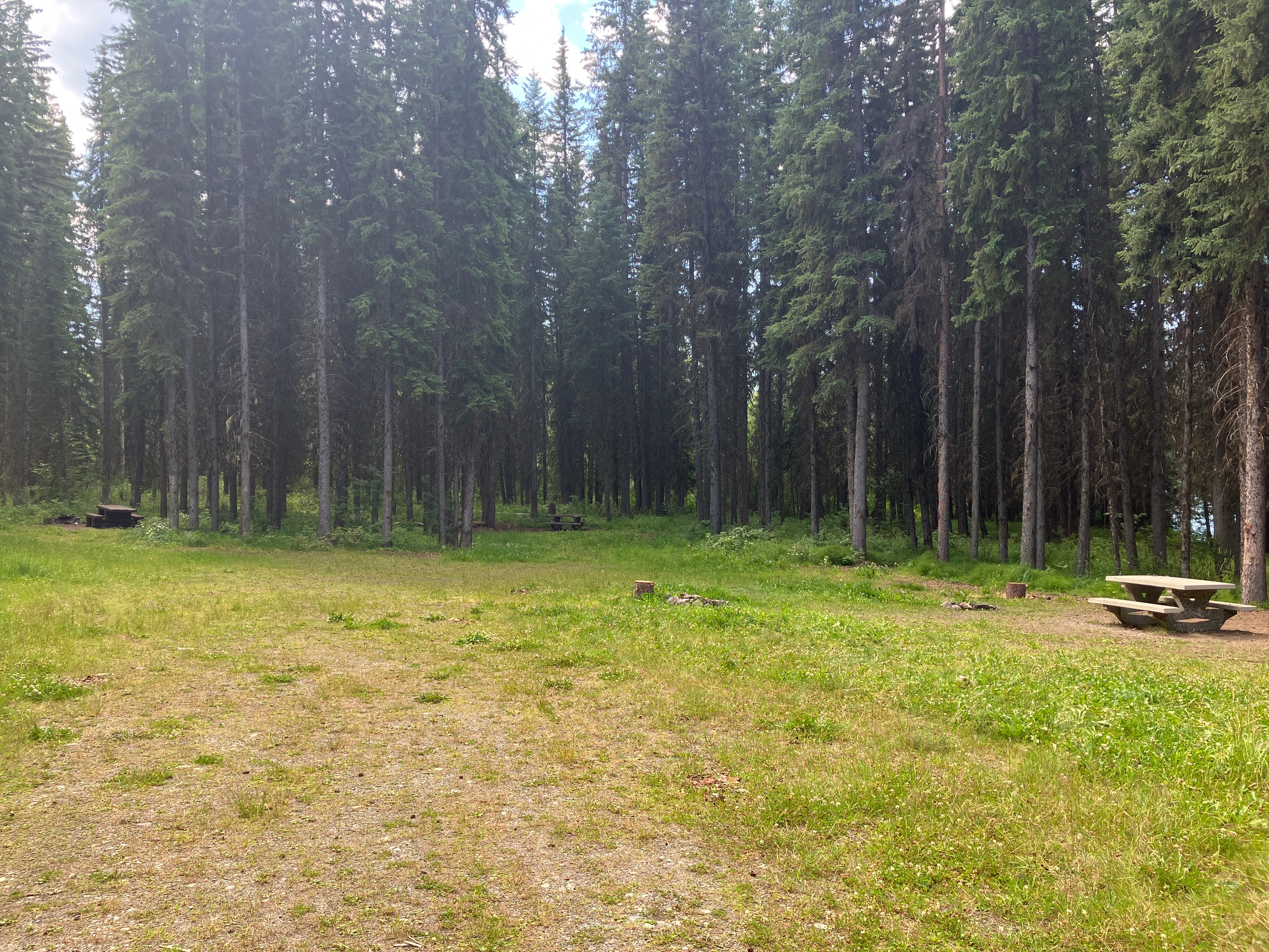 Photo: Recreation Sites and Trails BC. © Province of British Columbia, licensed under the Open Government Licence – British Columbia. Tisdall Lake, photo 5