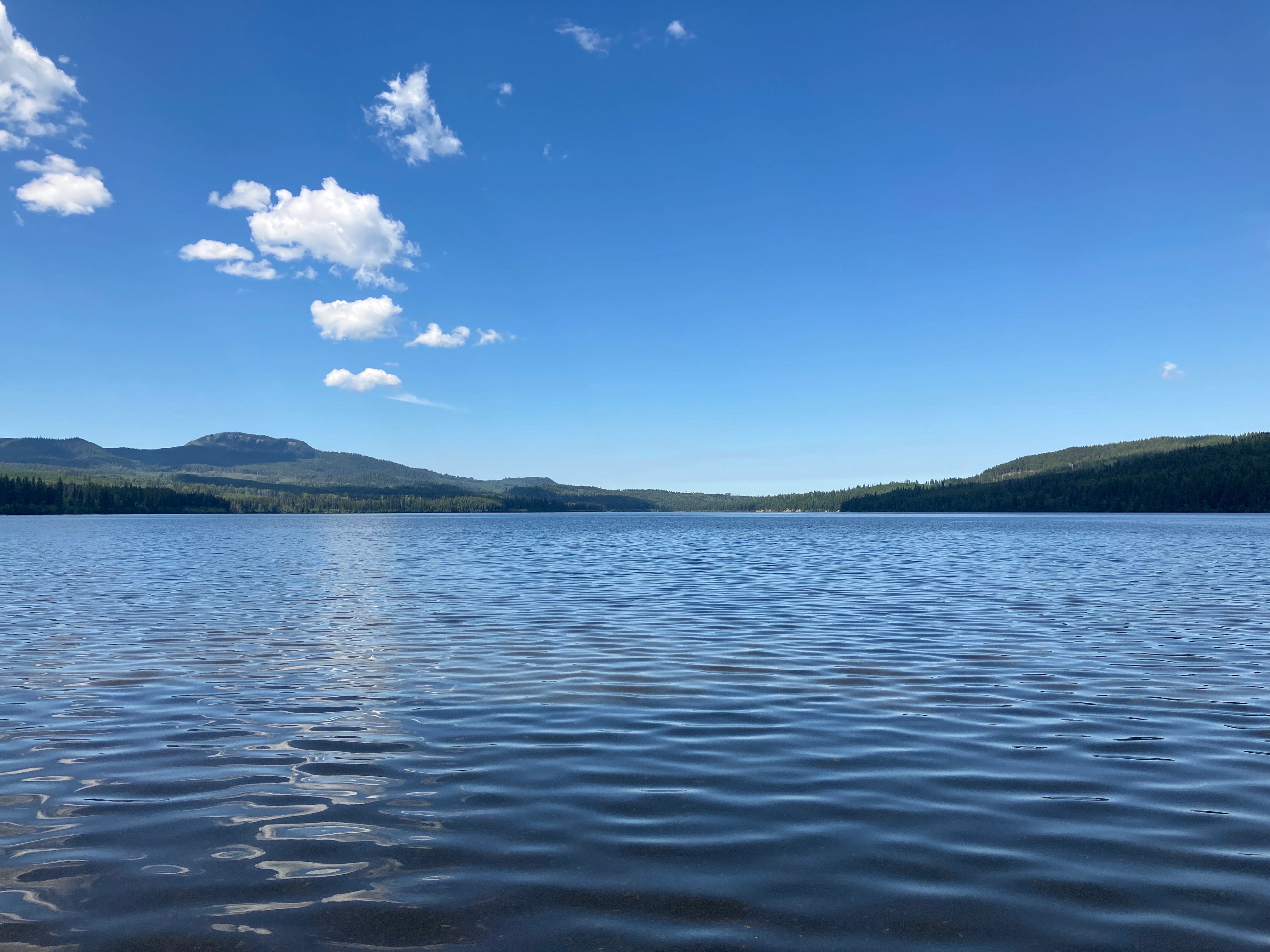 Photo: Recreation Sites and Trails BC. © Province of British Columbia, licensed under the Open Government Licence – British Columbia. Tisdall Lake, photo 10
