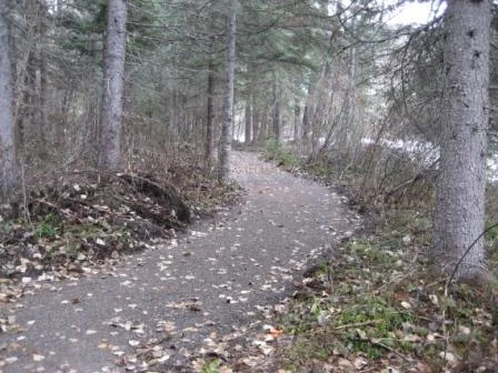 Photo: Recreation Sites and Trails BC. © Province of British Columbia, licensed under the Open Government Licence – British Columbia. Quesnel Forks, photo 4