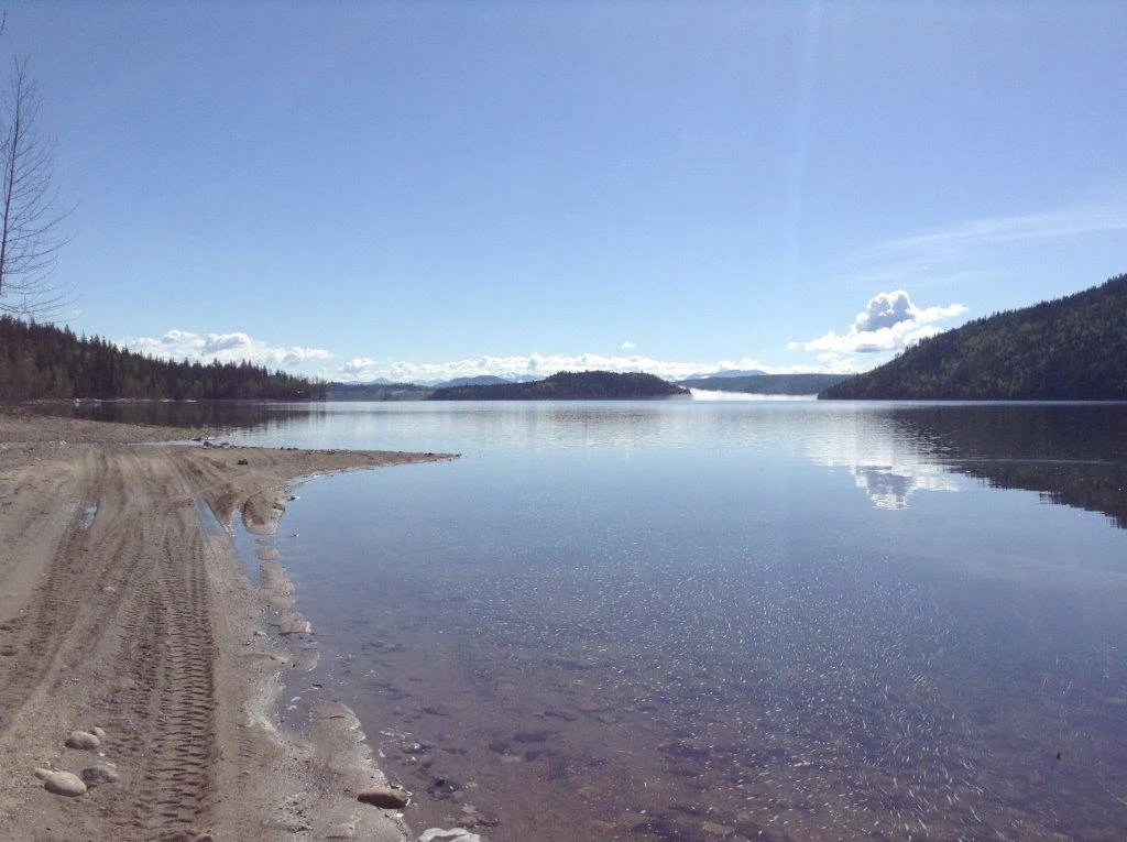 Photo: Recreation Sites and Trails BC. © Province of British Columbia, licensed under the Open Government Licence – British Columbia. Winkley Creek, photo 1
