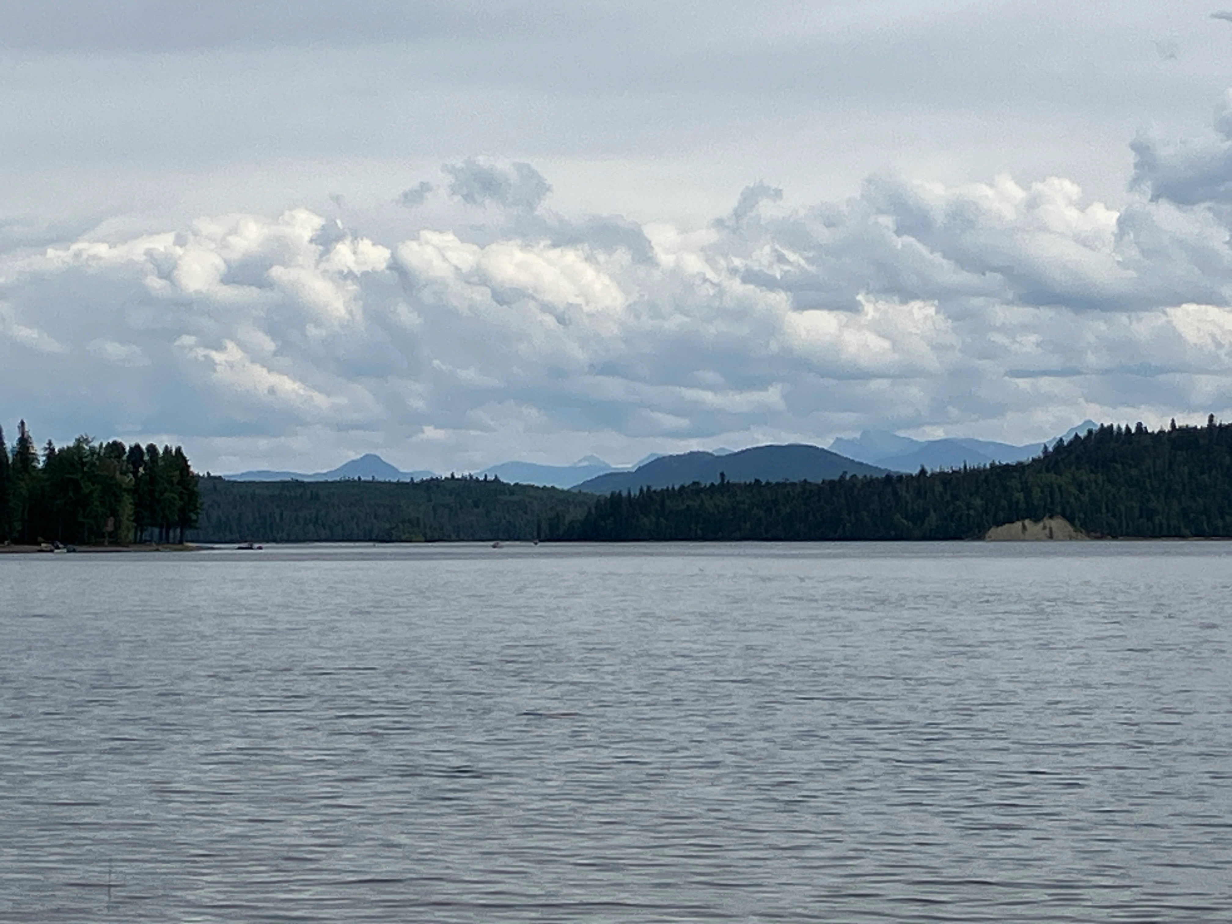Photo: Recreation Sites and Trails BC. © Province of British Columbia, licensed under the Open Government Licence – British Columbia. Winkley Creek, photo 6