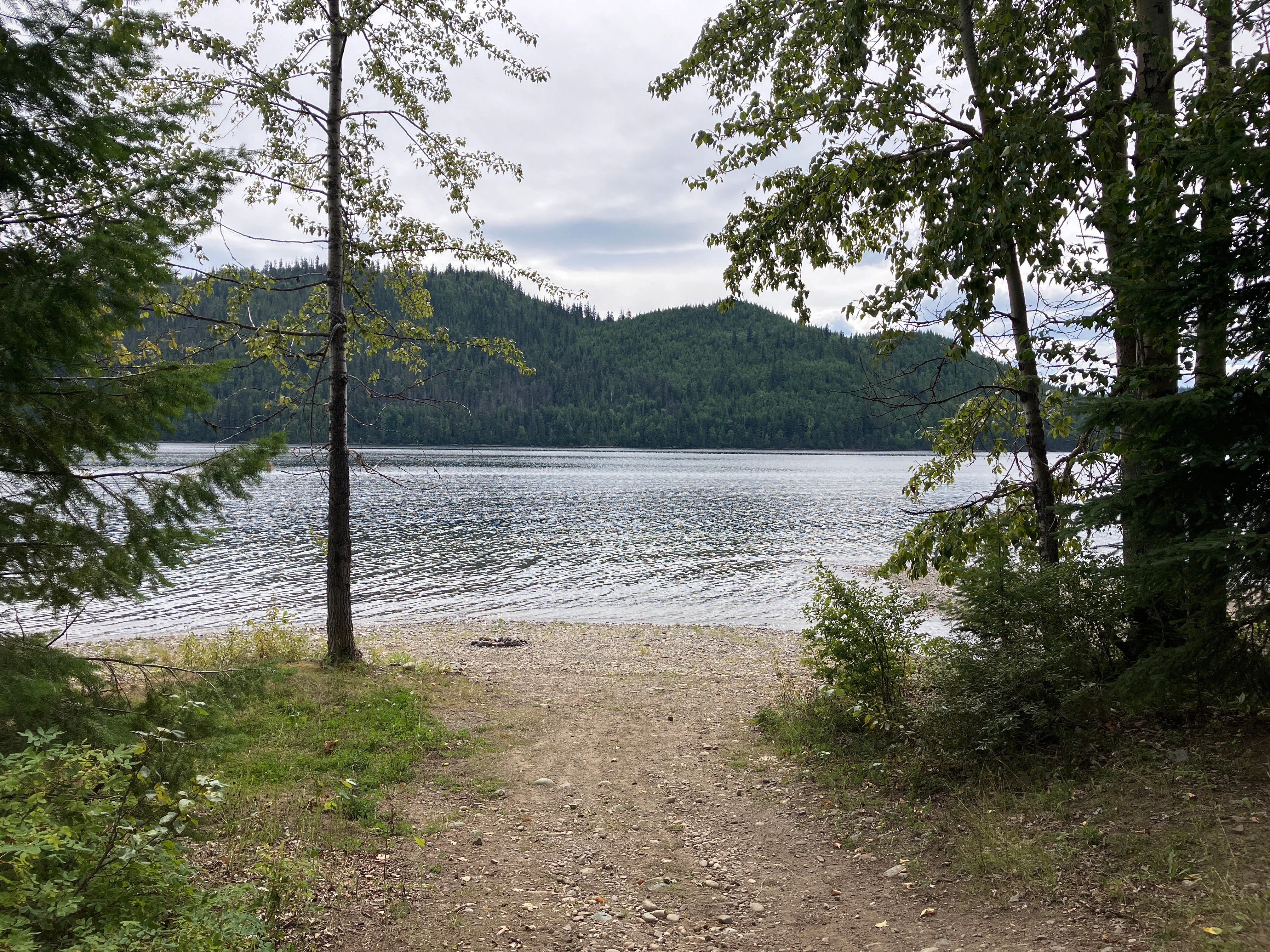 Photo: Recreation Sites and Trails BC. © Province of British Columbia, licensed under the Open Government Licence – British Columbia. Winkley Creek, photo 3