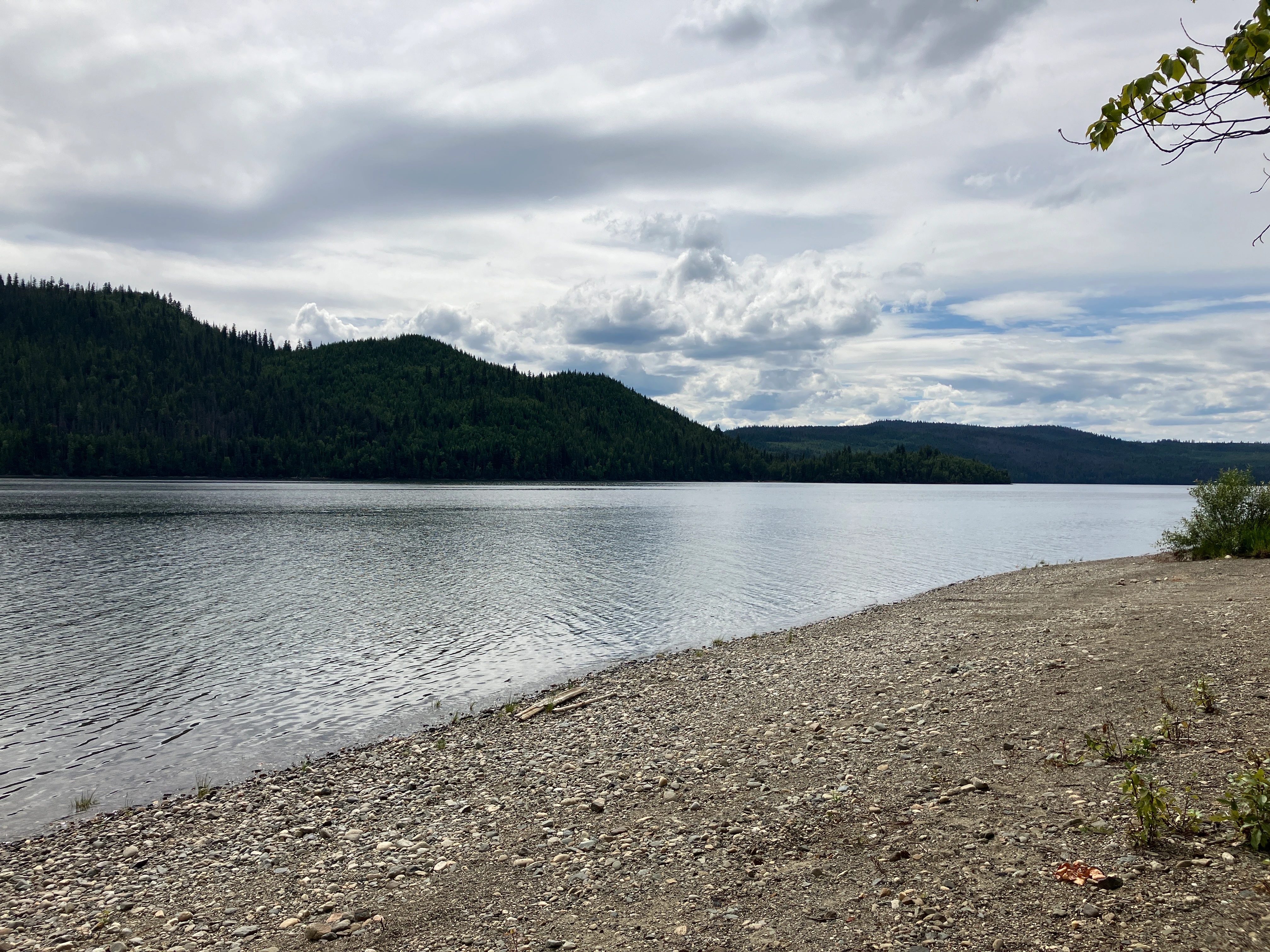 Photo: Recreation Sites and Trails BC. © Province of British Columbia, licensed under the Open Government Licence – British Columbia. Winkley Creek, photo 10