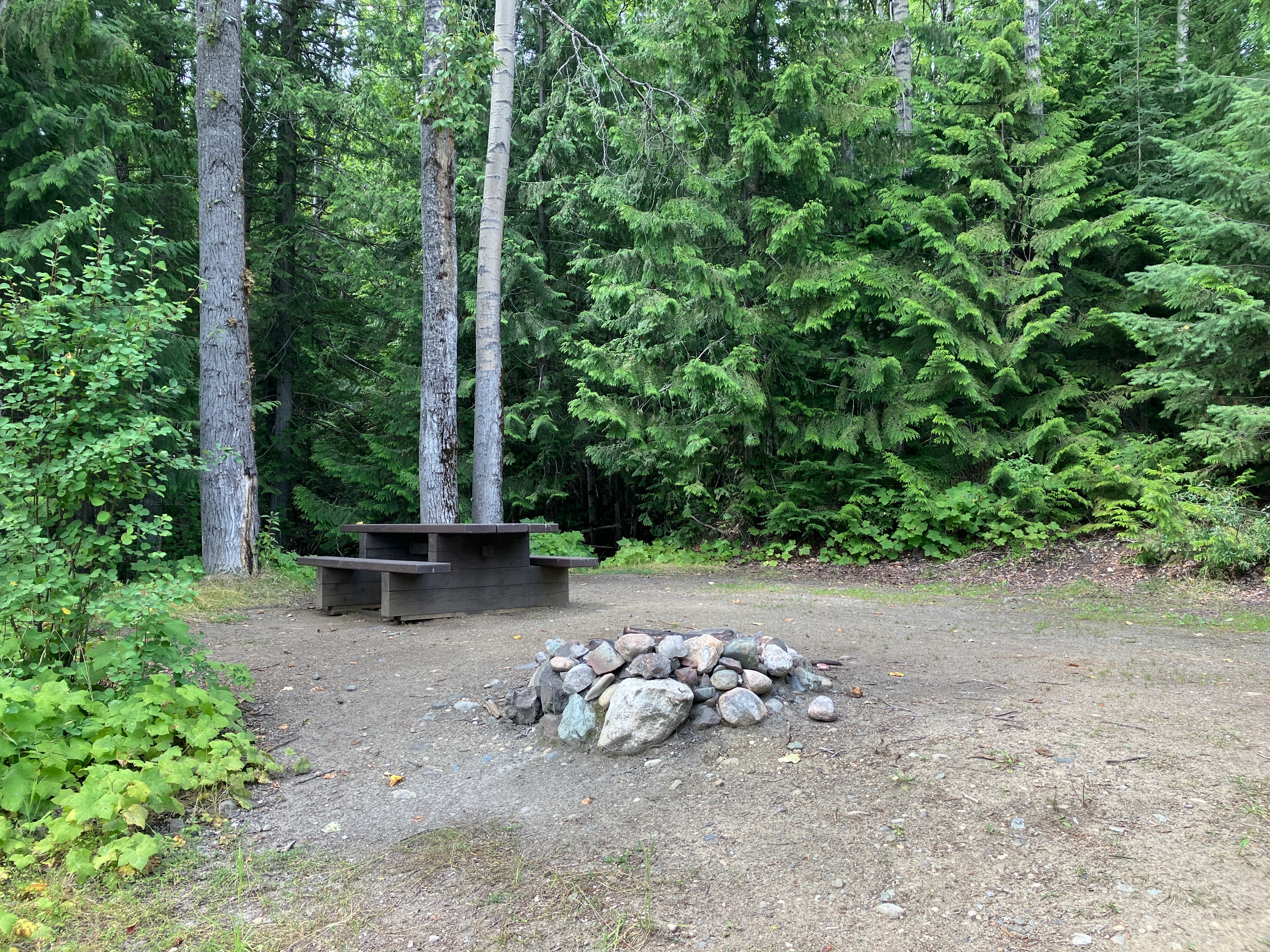 Photo: Recreation Sites and Trails BC. © Province of British Columbia, licensed under the Open Government Licence – British Columbia. Winkley Creek, photo 7