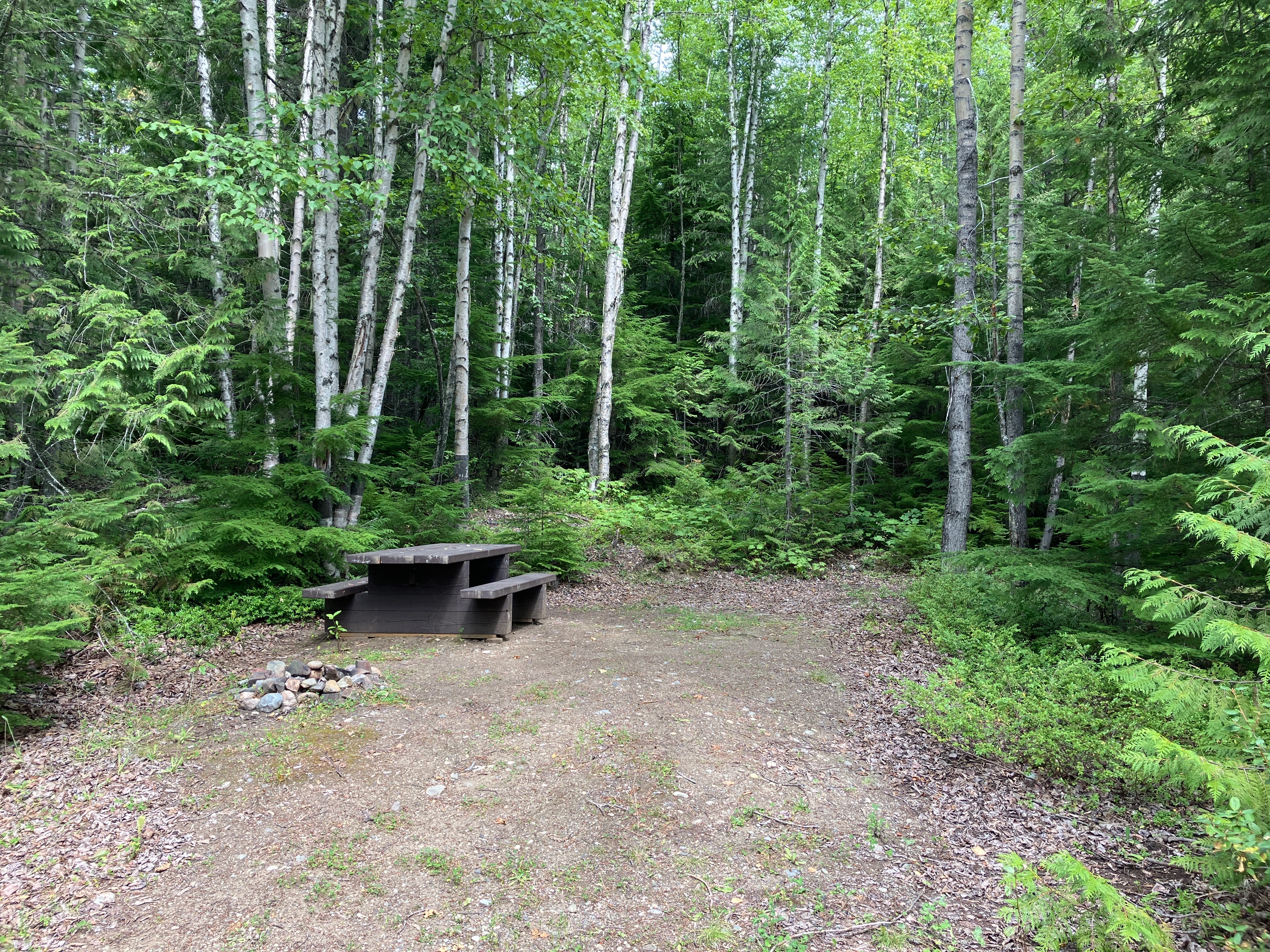 Photo: Recreation Sites and Trails BC. © Province of British Columbia, licensed under the Open Government Licence – British Columbia. Winkley Creek, photo 8