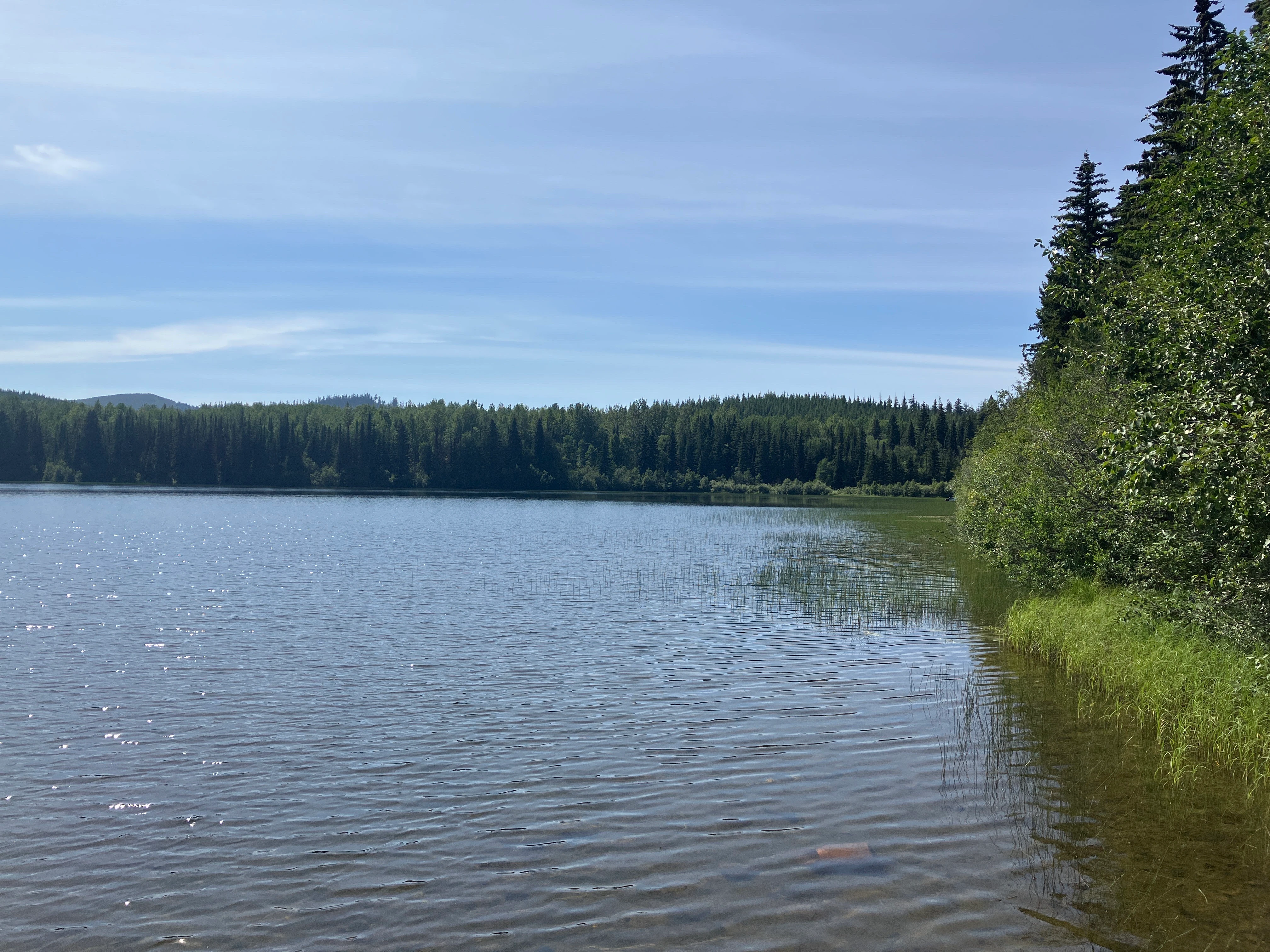 Photo: Recreation Sites and Trails BC. © Province of British Columbia, licensed under the Open Government Licence – British Columbia. Bootjack Lake, photo 10