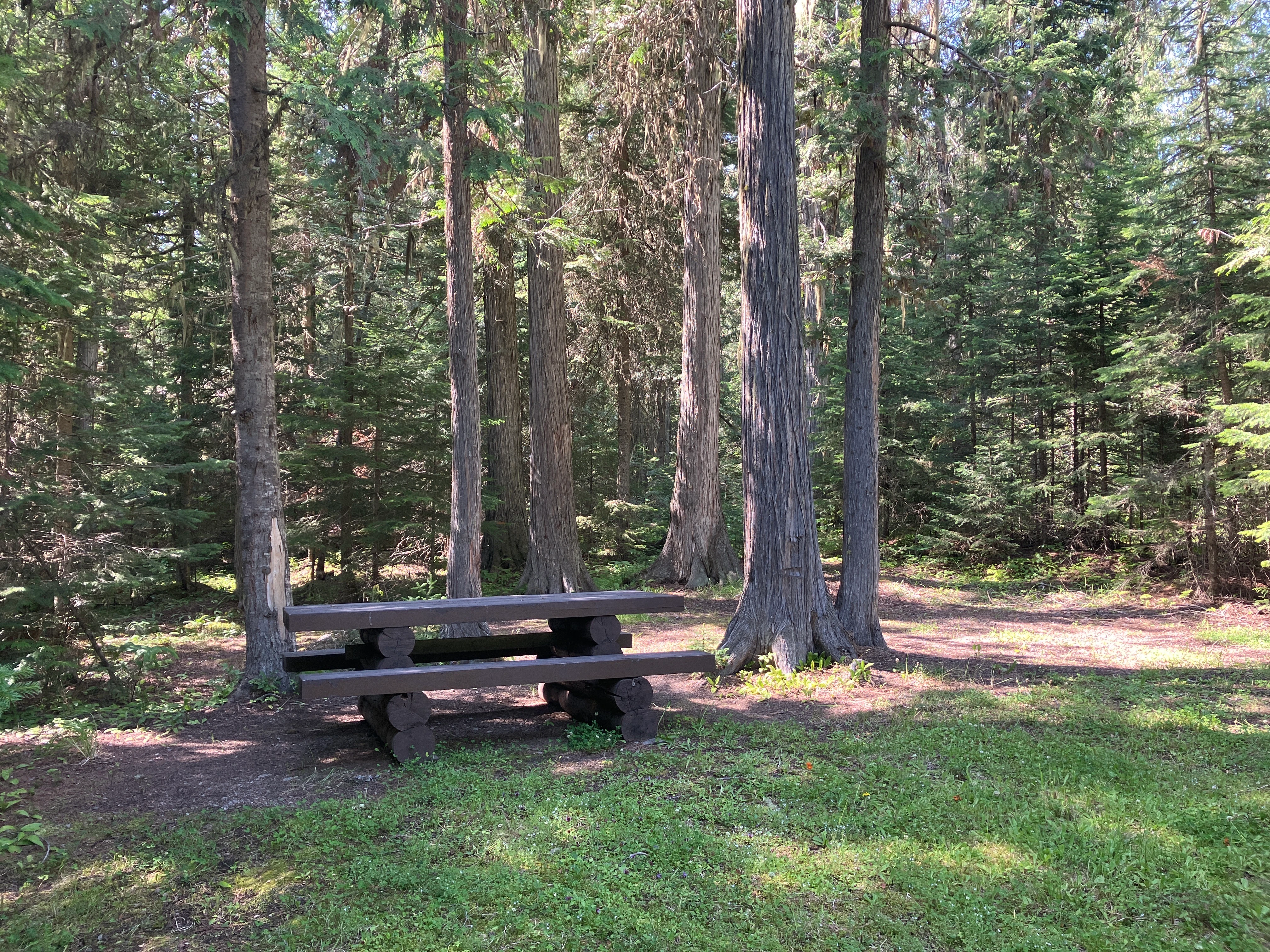 Photo: Recreation Sites and Trails BC. © Province of British Columbia, licensed under the Open Government Licence – British Columbia. Bootjack Lake, photo 4