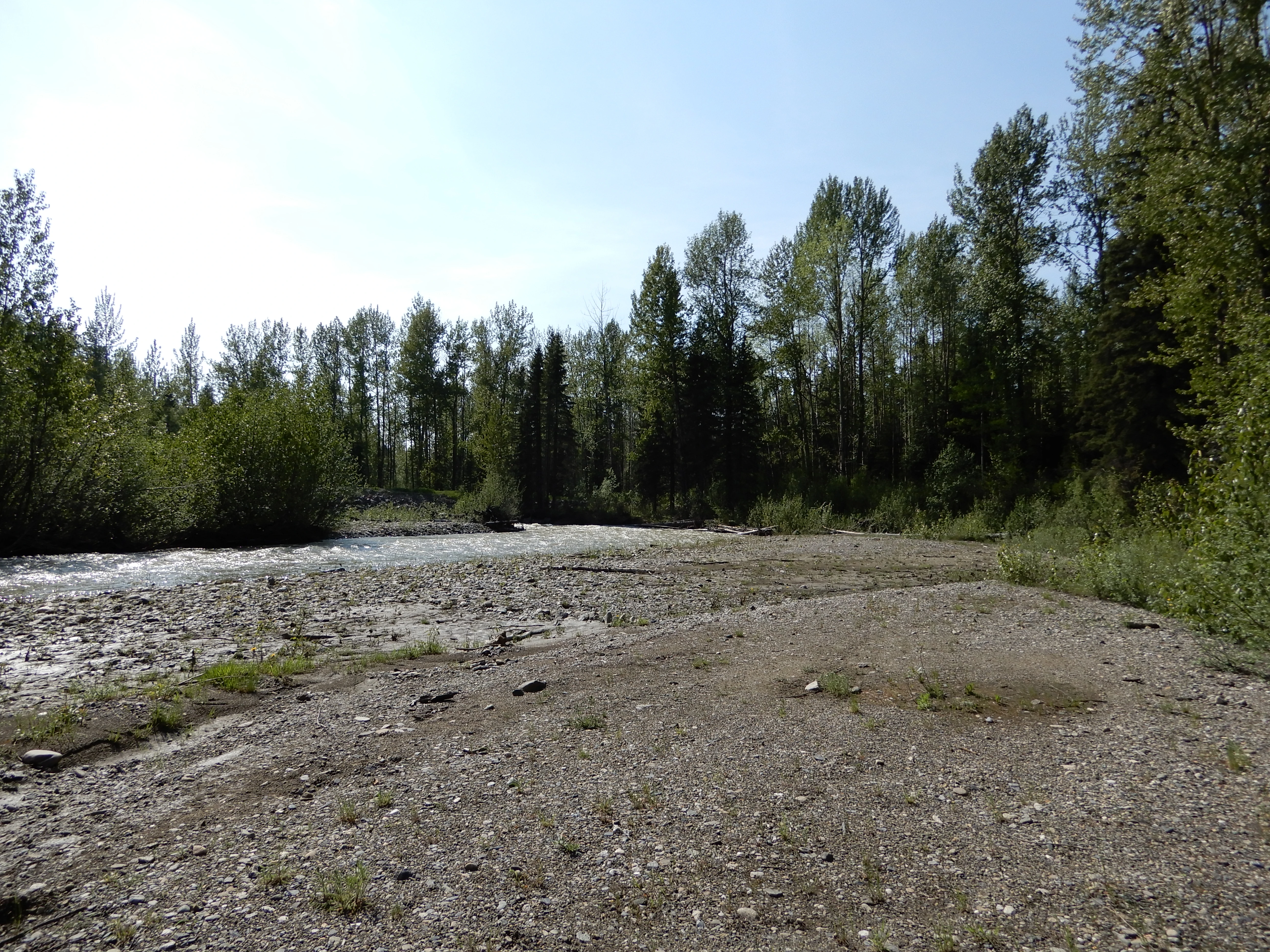 Photo: Recreation Sites and Trails BC. © Province of British Columbia, licensed under the Open Government Licence – British Columbia. Lightning Creek, photo 15