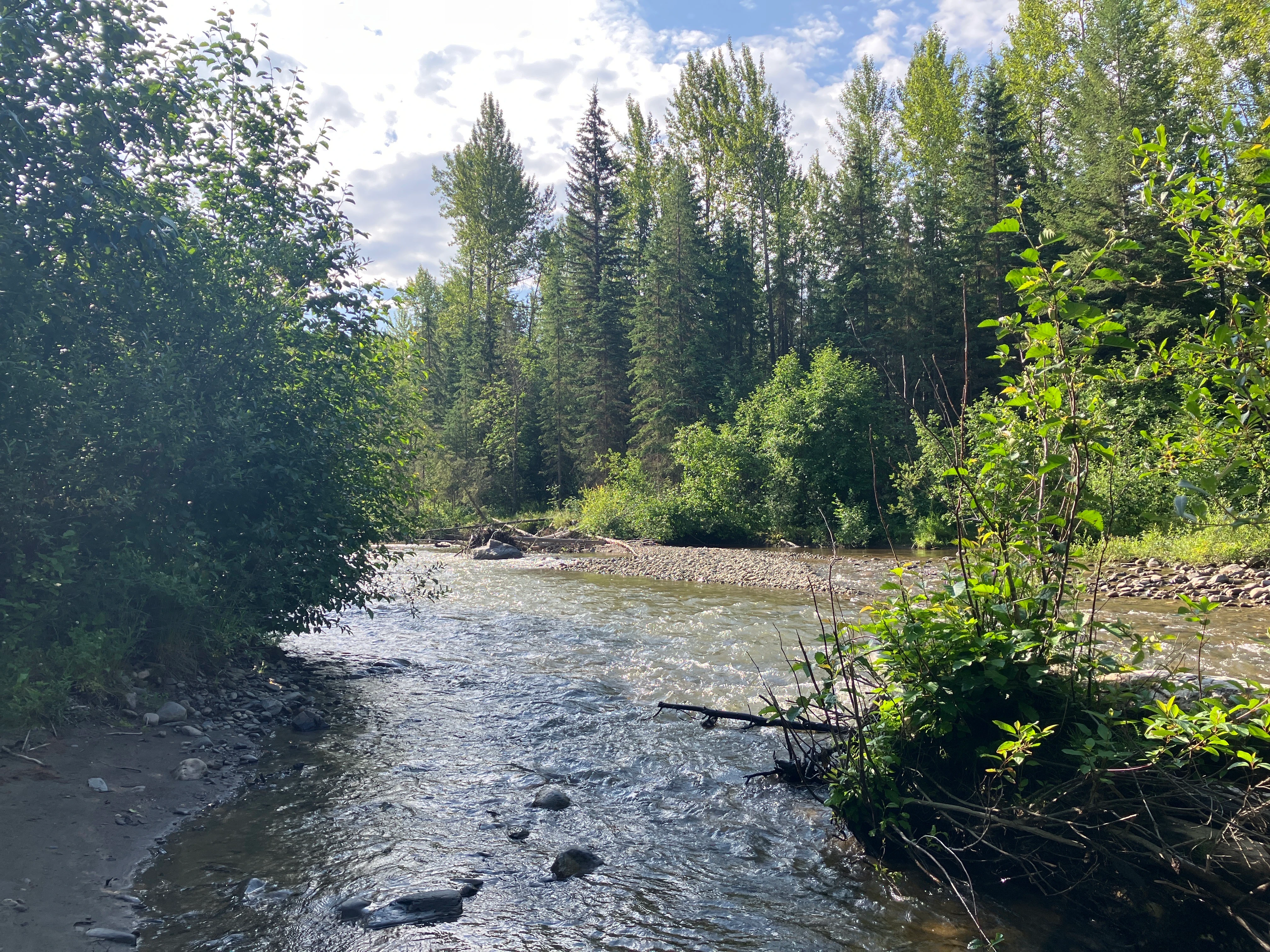 Photo: Recreation Sites and Trails BC. © Province of British Columbia, licensed under the Open Government Licence – British Columbia. Lightning Creek, photo 1