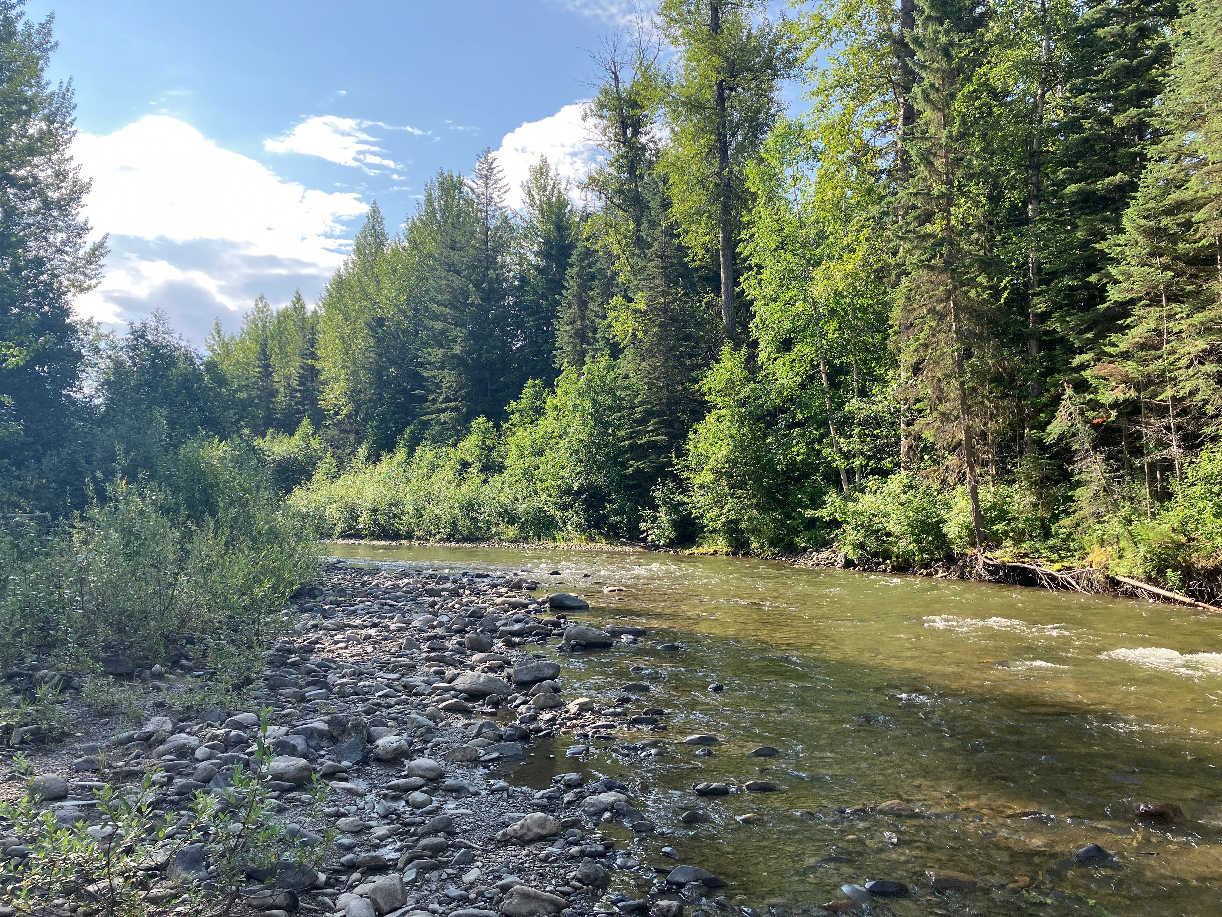 Photo: Recreation Sites and Trails BC. © Province of British Columbia, licensed under the Open Government Licence – British Columbia. Lightning Creek, photo 8