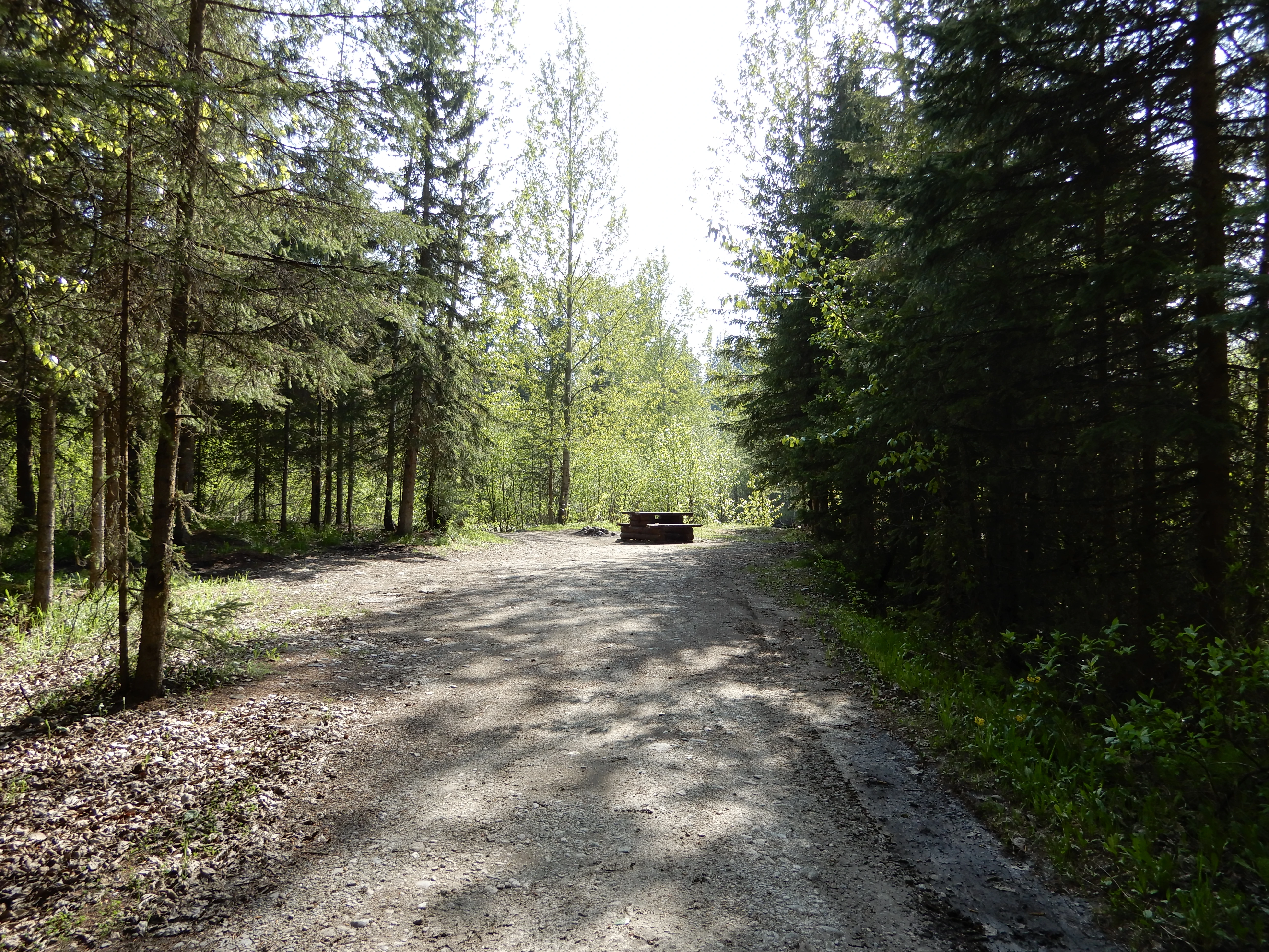Photo: Recreation Sites and Trails BC. © Province of British Columbia, licensed under the Open Government Licence – British Columbia. Lightning Creek, photo 13