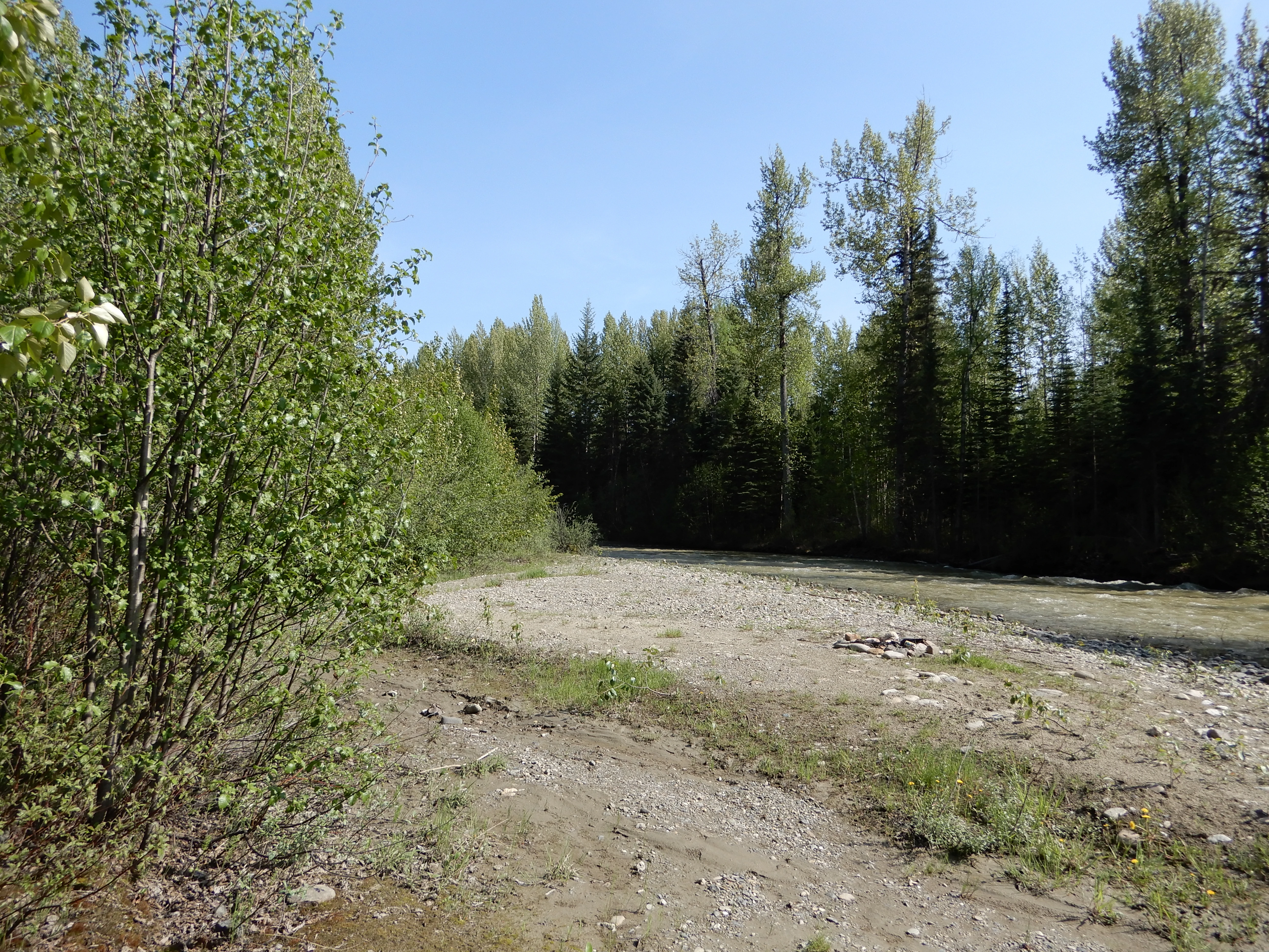 Photo: Recreation Sites and Trails BC. © Province of British Columbia, licensed under the Open Government Licence – British Columbia. Lightning Creek, photo 14
