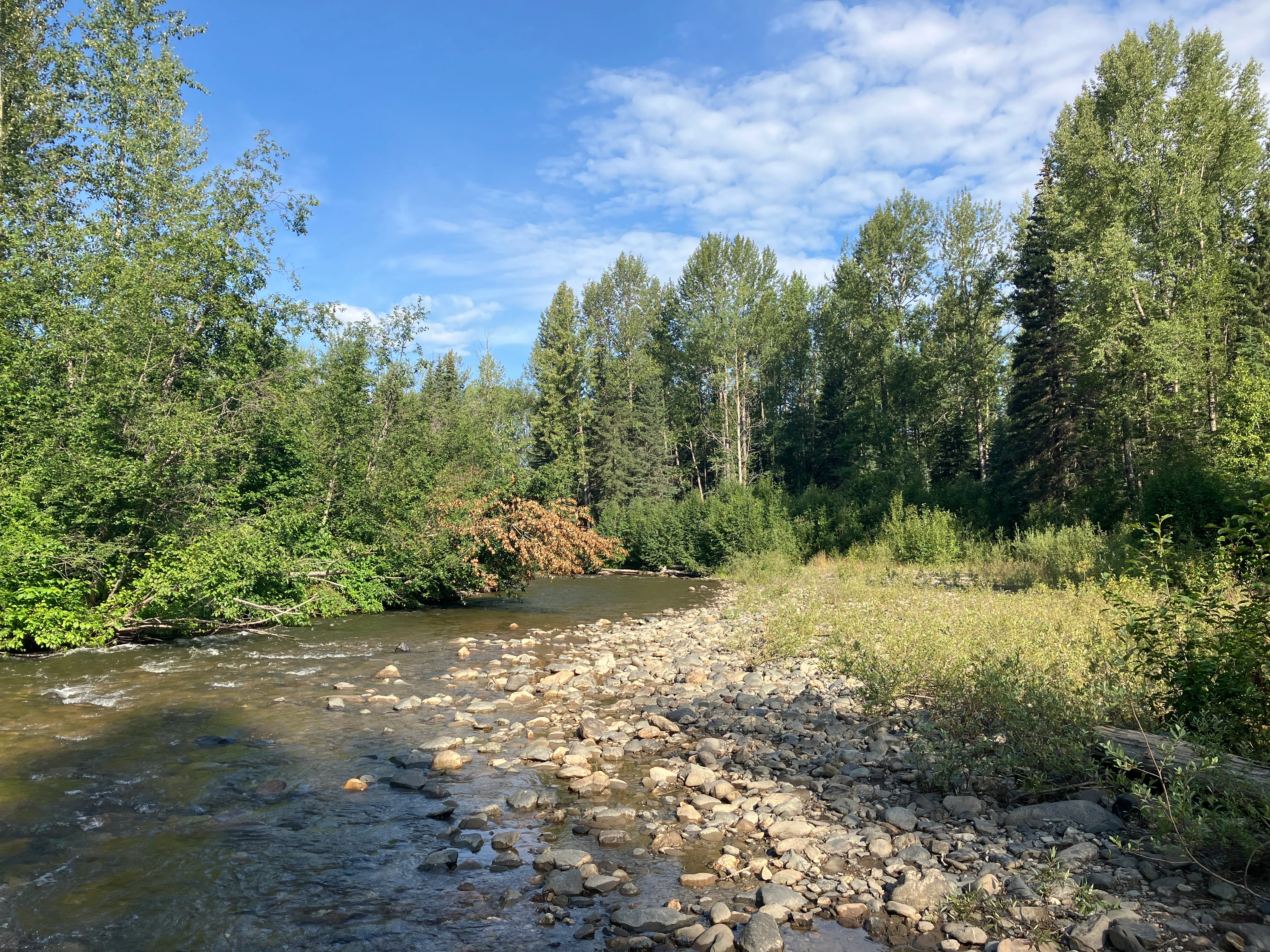 Photo: Recreation Sites and Trails BC. © Province of British Columbia, licensed under the Open Government Licence – British Columbia. Lightning Creek, photo 9