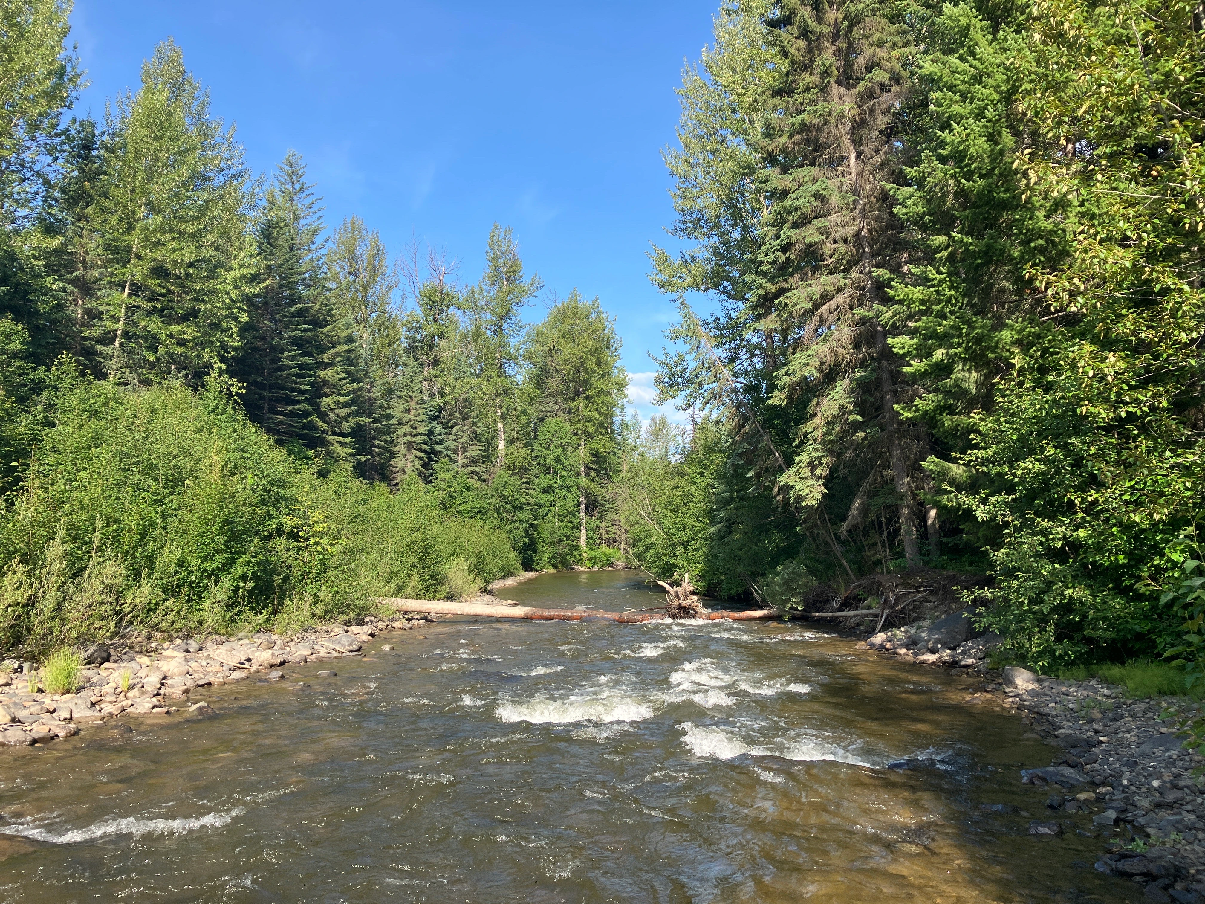 Photo: Recreation Sites and Trails BC. © Province of British Columbia, licensed under the Open Government Licence – British Columbia. Lightning Creek, photo 2