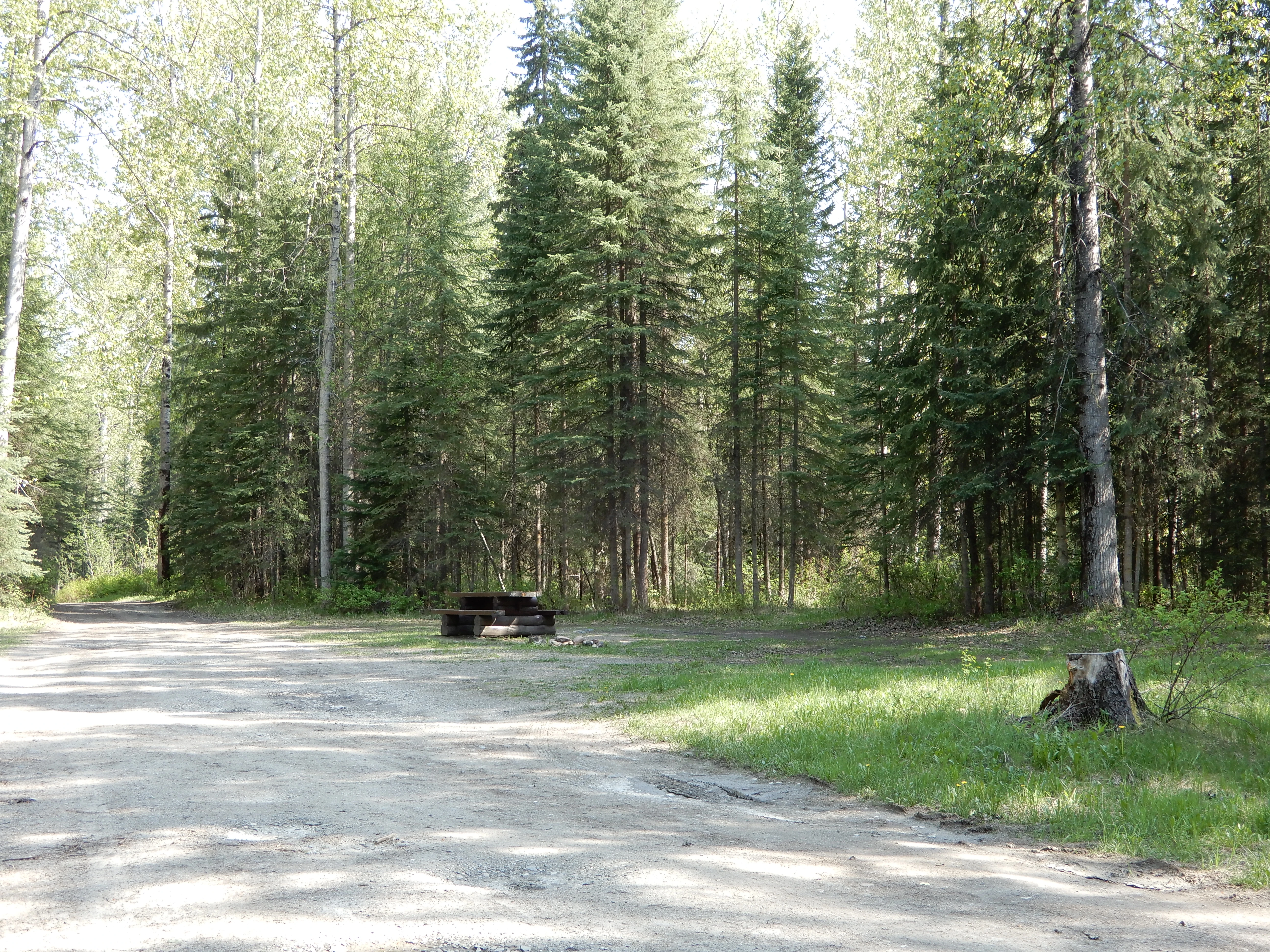Photo: Recreation Sites and Trails BC. © Province of British Columbia, licensed under the Open Government Licence – British Columbia. Lightning Creek, photo 11