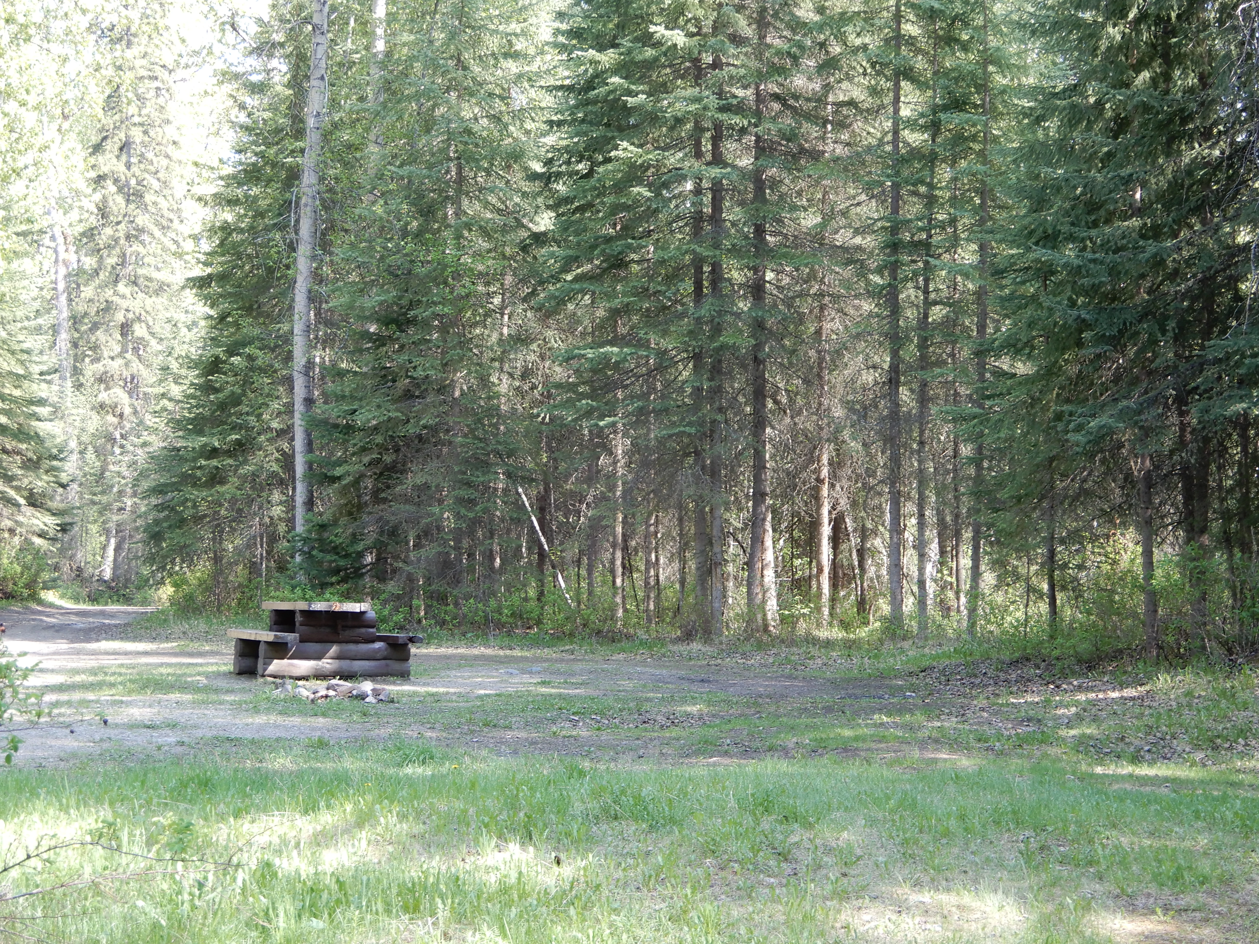 Photo: Recreation Sites and Trails BC. © Province of British Columbia, licensed under the Open Government Licence – British Columbia. Lightning Creek, photo 12