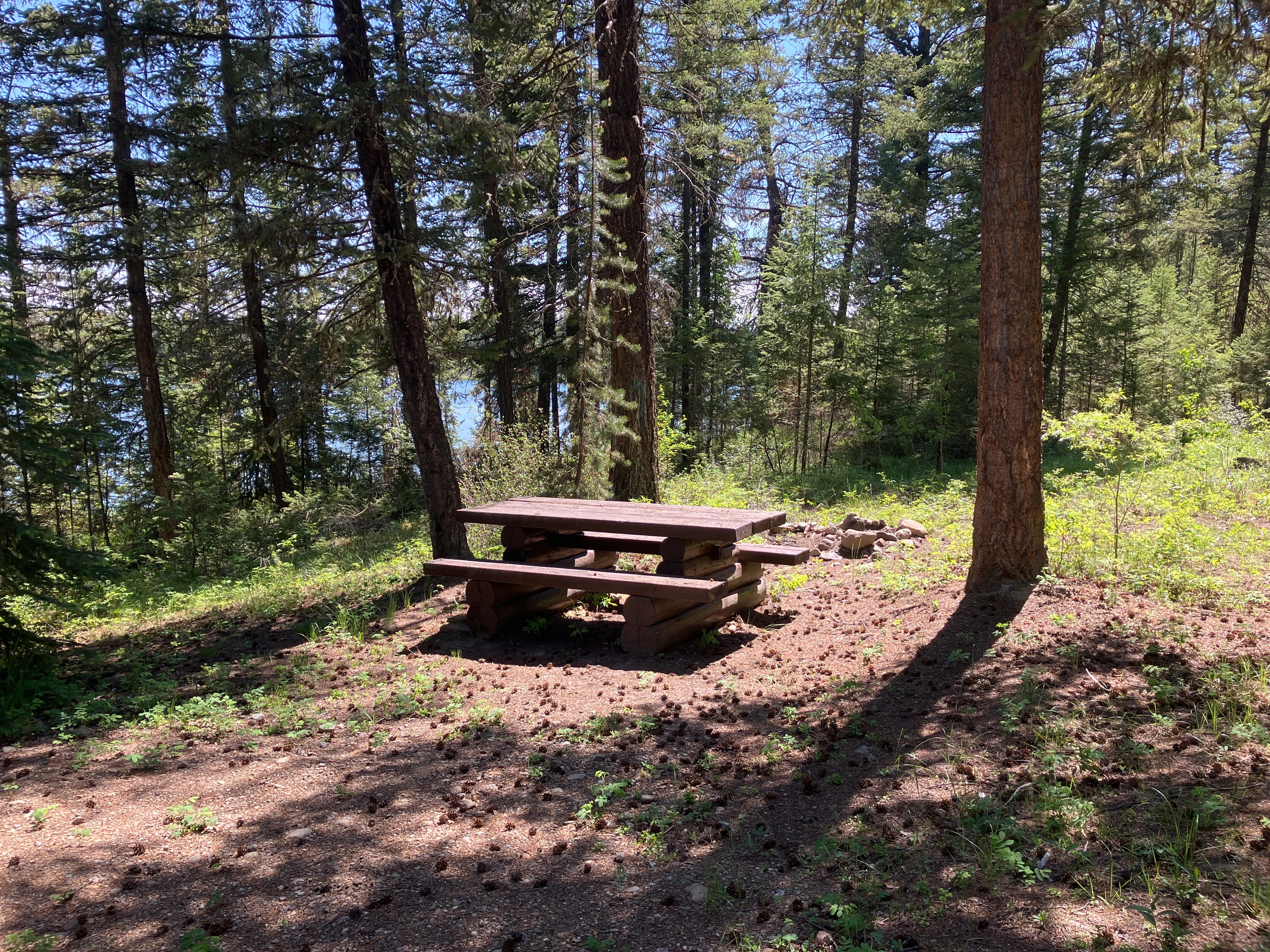 Photo: Recreation Sites and Trails BC. © Province of British Columbia, licensed under the Open Government Licence – British Columbia. Twan Lake, photo 6