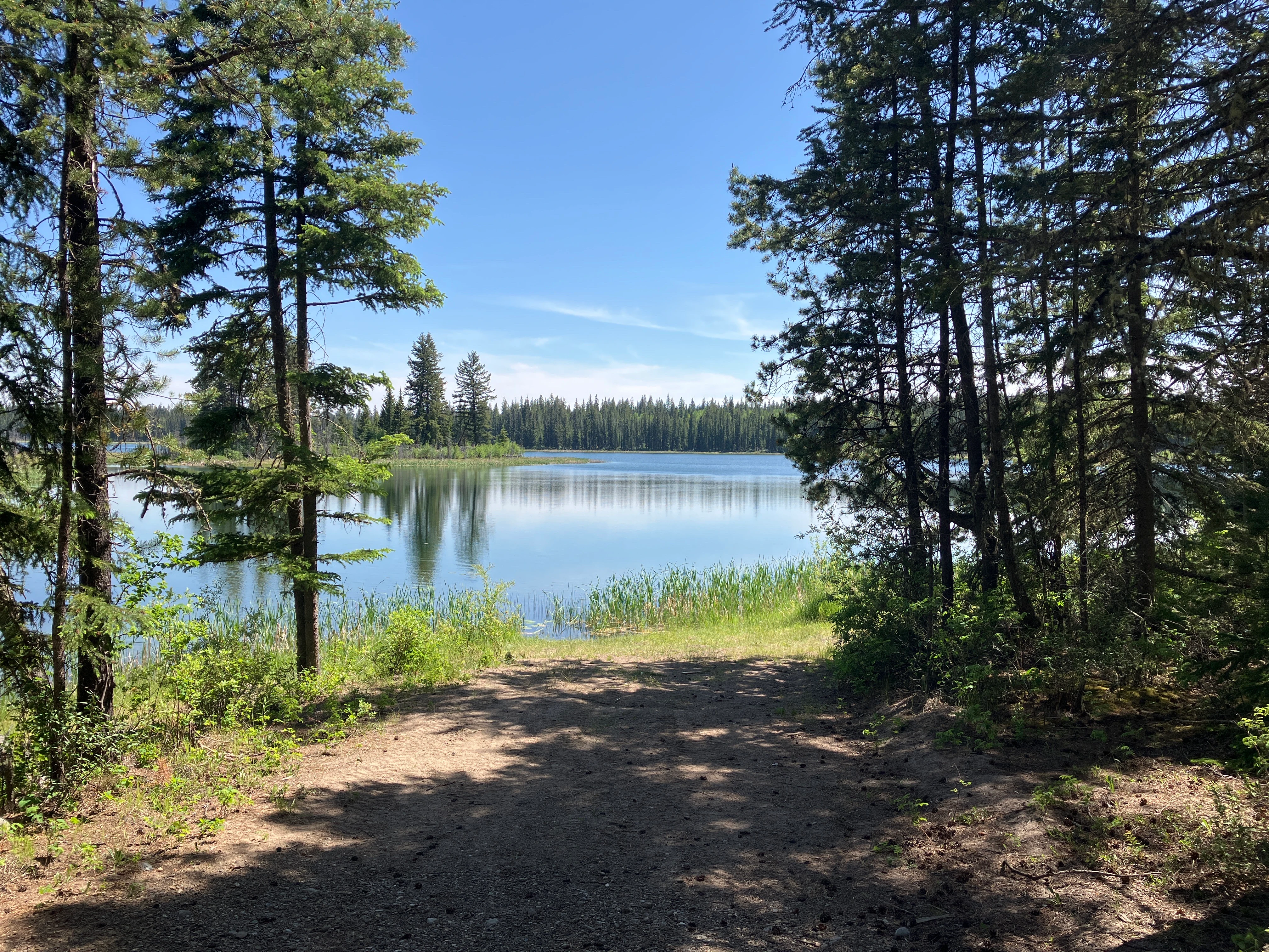 Photo: Recreation Sites and Trails BC. © Province of British Columbia, licensed under the Open Government Licence – British Columbia. Twan Lake, photo 3